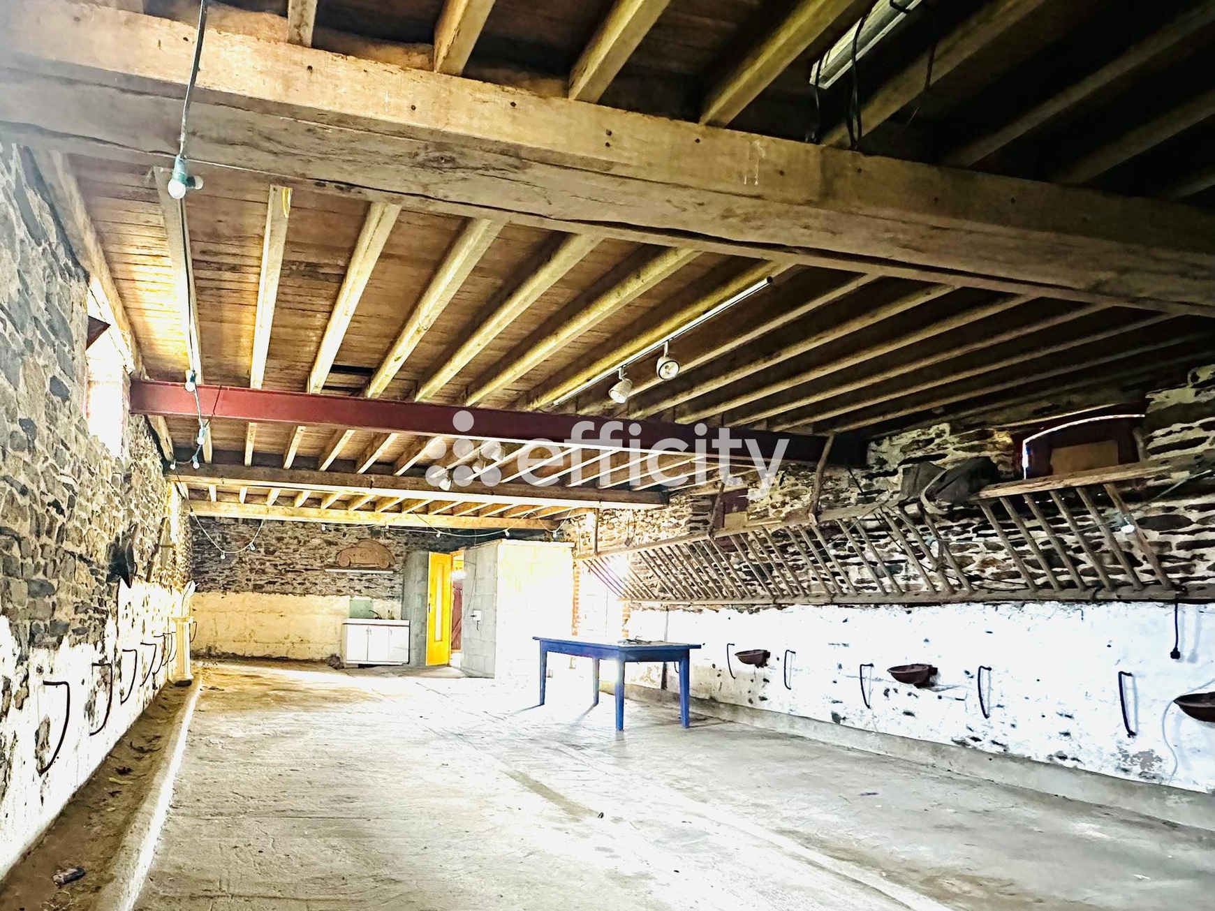 Achat immobilier Maison 8 pièces  225m2 à Retiers (35240) - Photo n°29