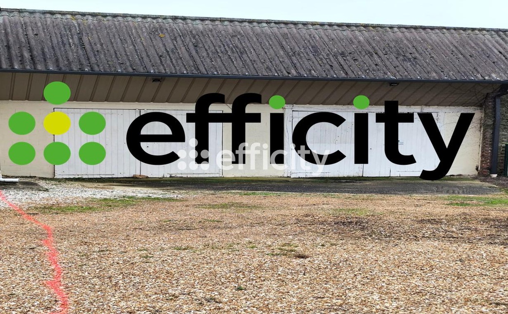 Achat immobilier Maison 2 pièces  140m2 à Tremblay-les-Villages (28170) - Photo n°1