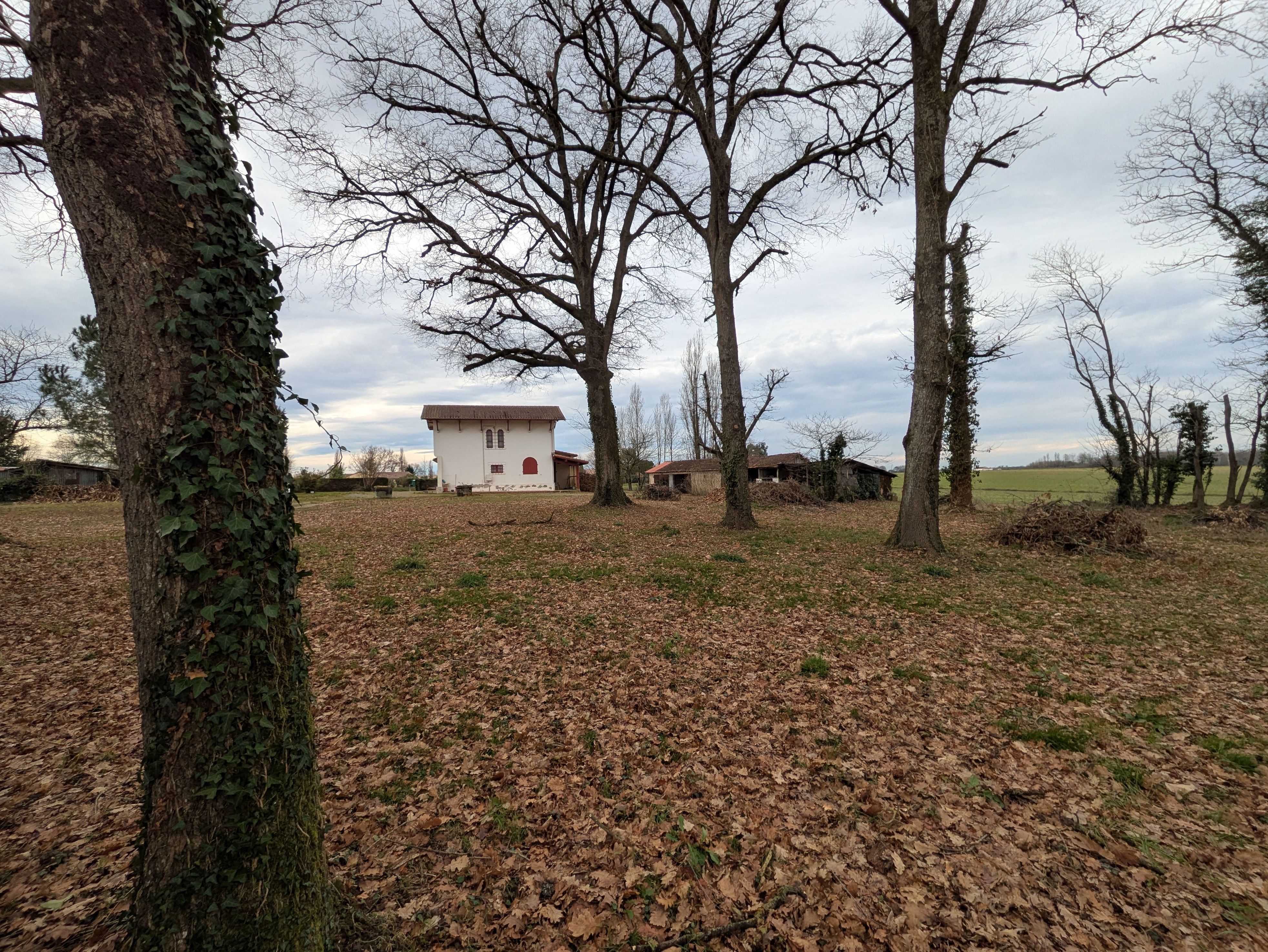 Achat immobilier Maison 4 pièces  107m2 à Classun (40320) - Photo n°9