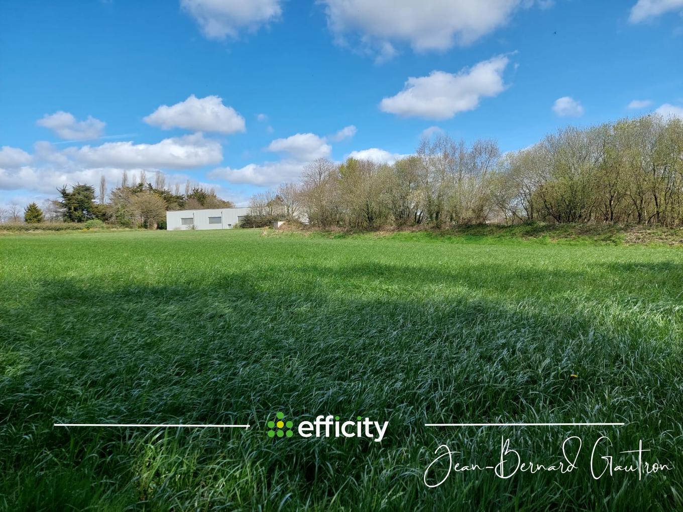 Achat immobilier Terrain   7662m2 à Plounévez-Moëdec (22810) - Photo n°4