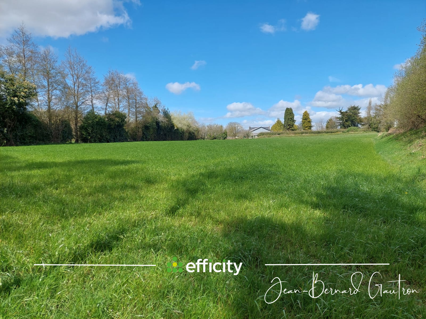 Achat immobilier Terrain   7662m2 à Plounévez-Moëdec (22810) - Photo n°5