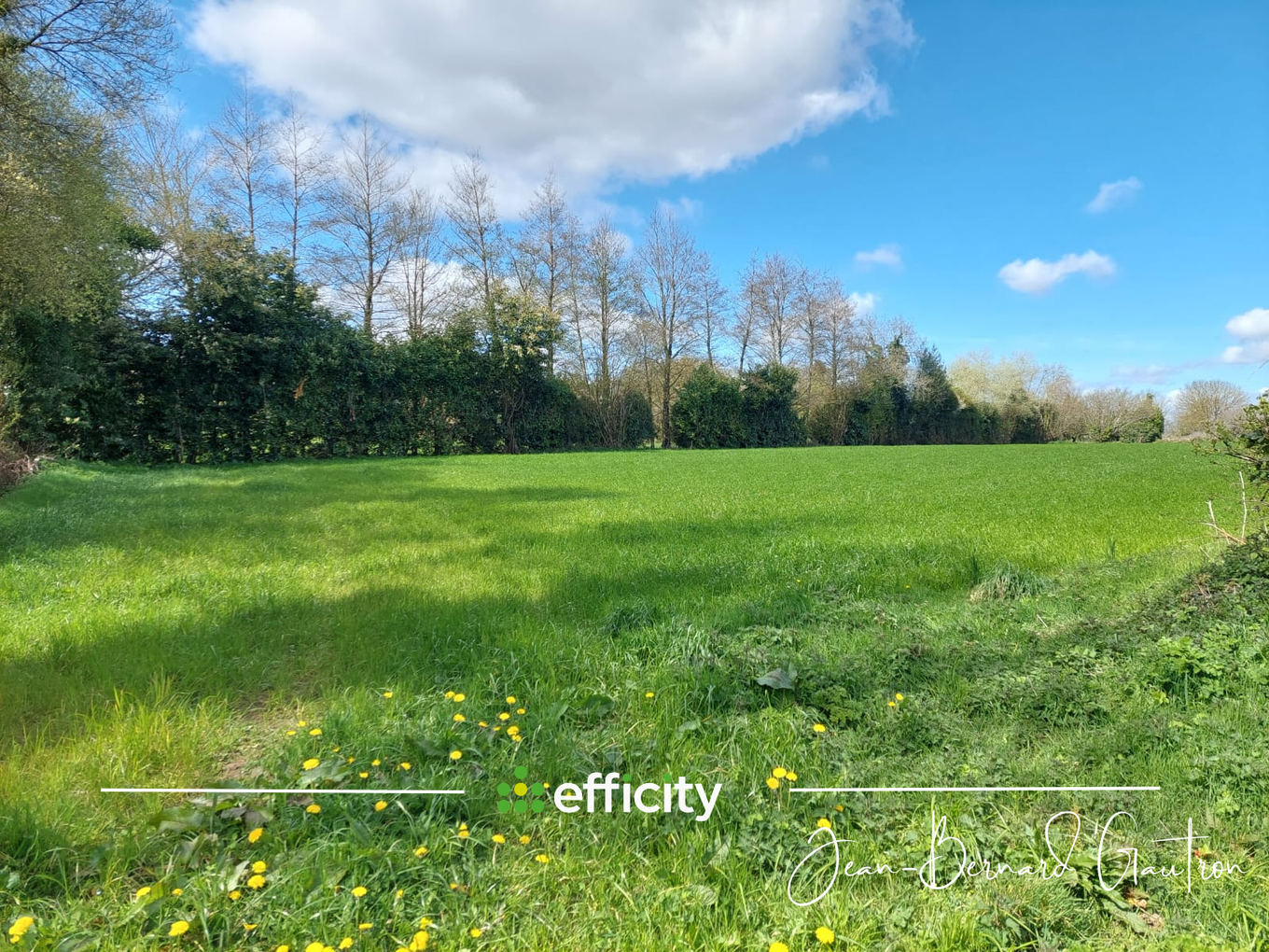 Achat immobilier Terrain   7662m2 à Plounévez-Moëdec (22810) - Photo n°6