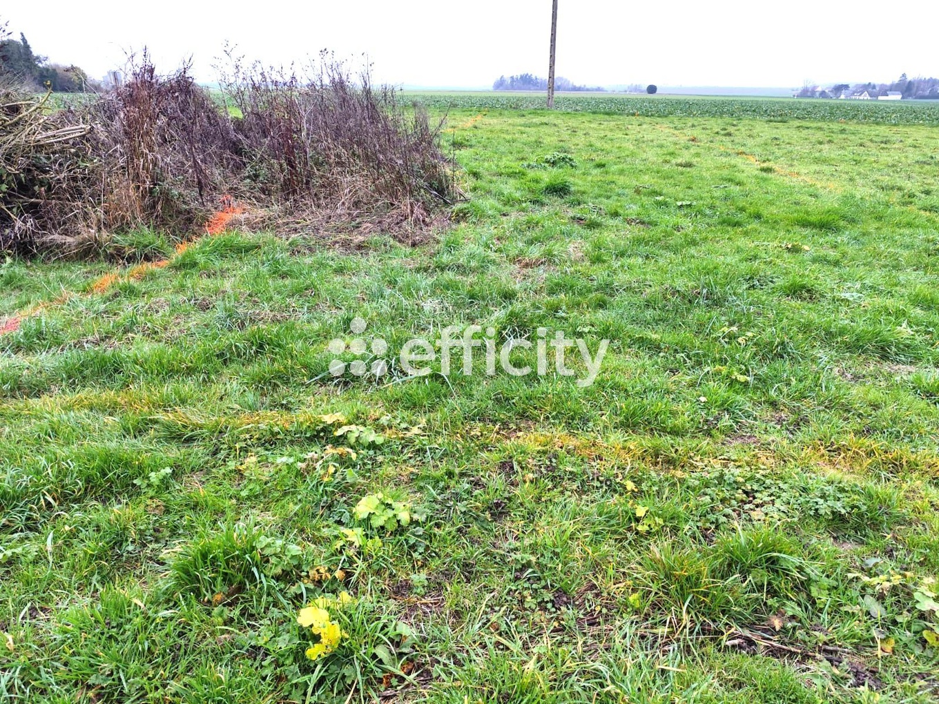 Achat immobilier Local commercial 1 pièces  81m2 à Chartres (28000) - Photo n°8