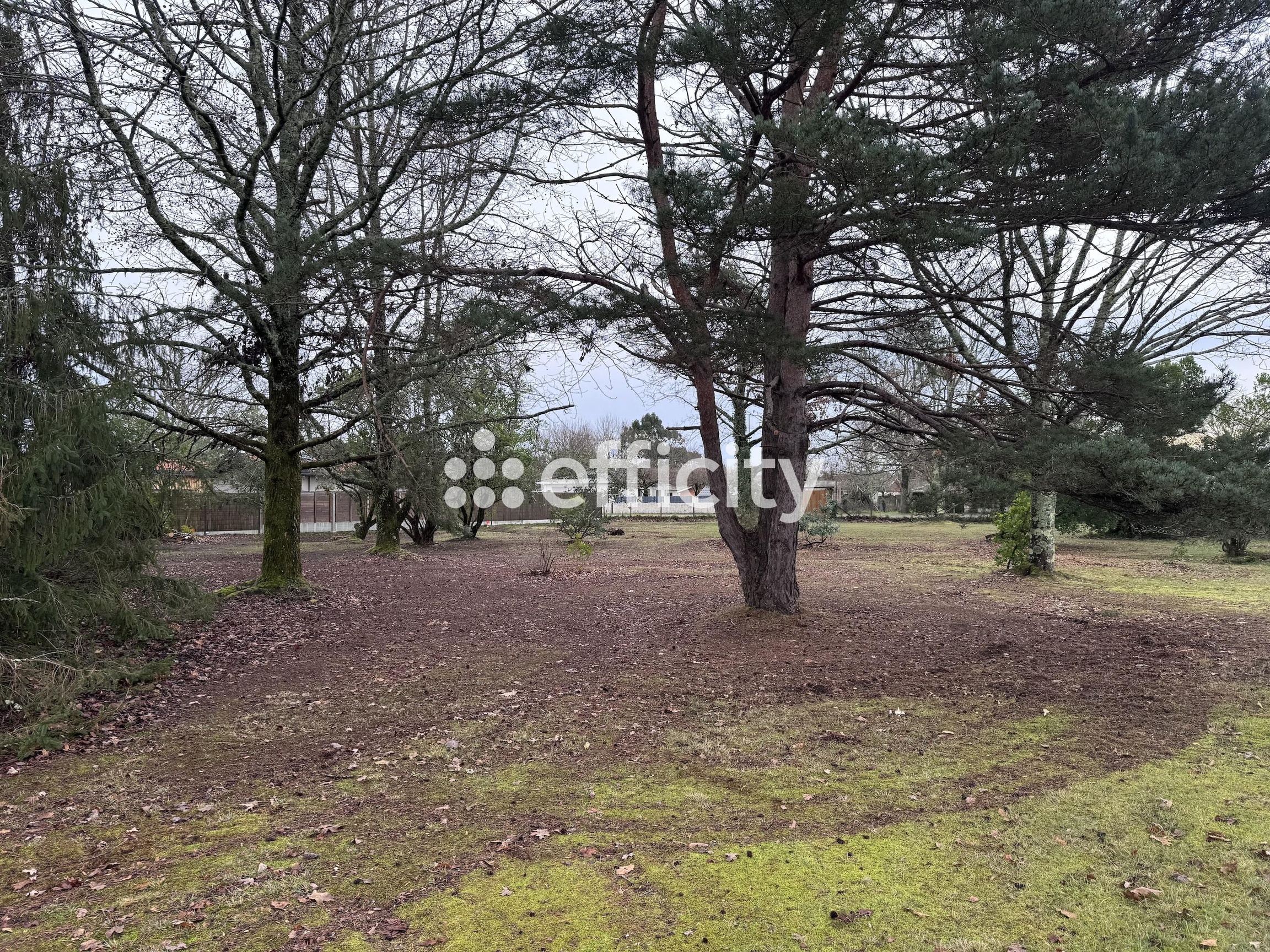 Achat immobilier Terrain   1050m2 à Le Porge (33680) - Photo n°1
