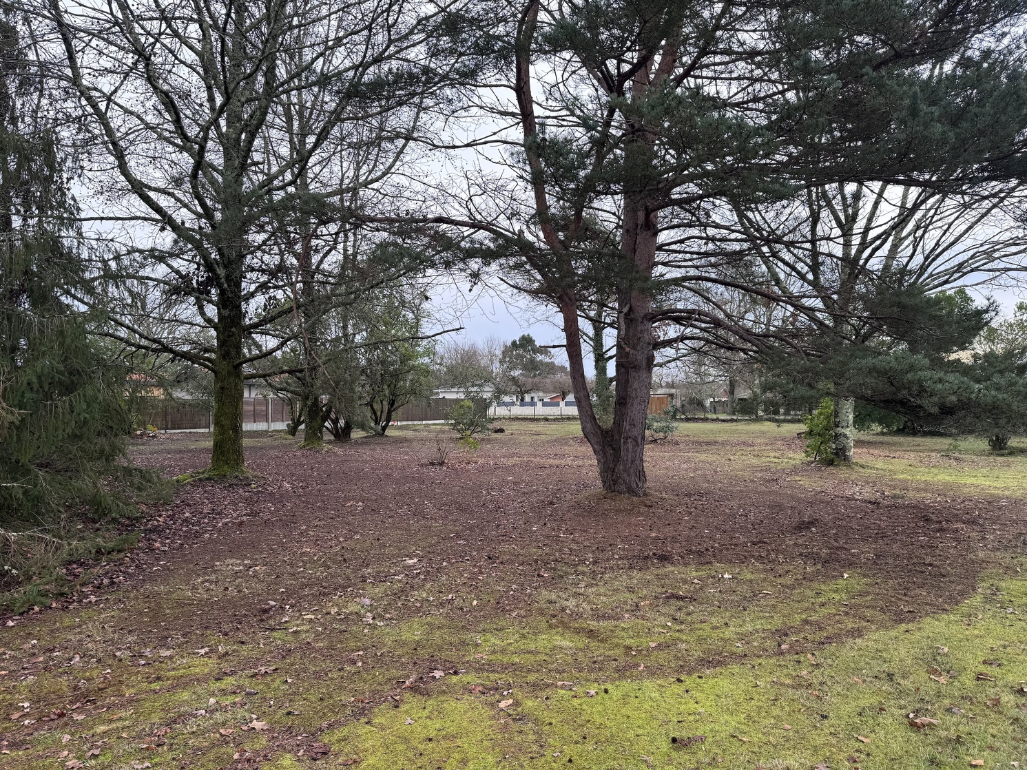 terrain  - 1050m2 à Le Porge (33680)