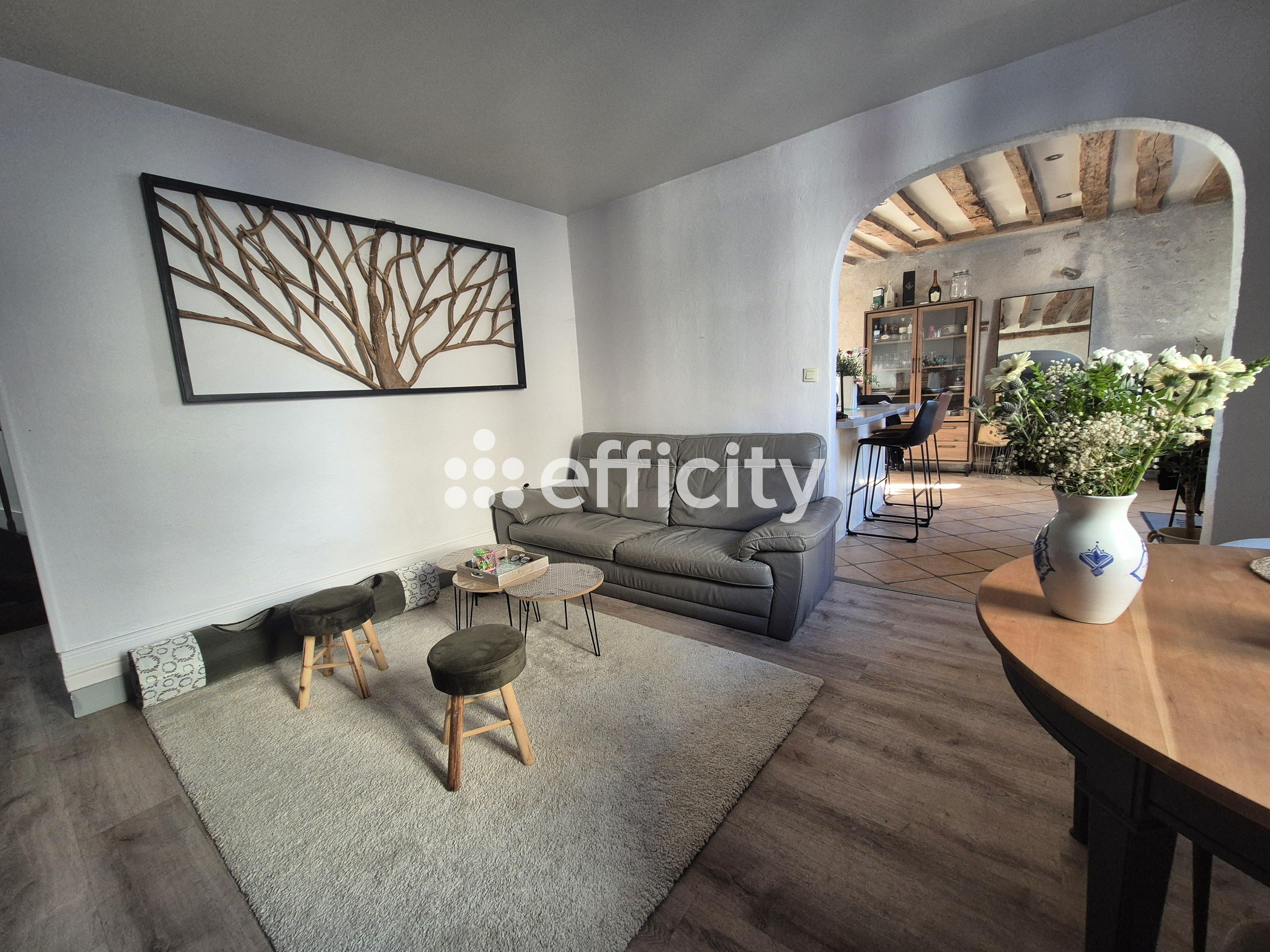 Achat immobilier Maison 4 pièces  90m2 à Huisseau-sur-Cosson (41350) - Photo n°5