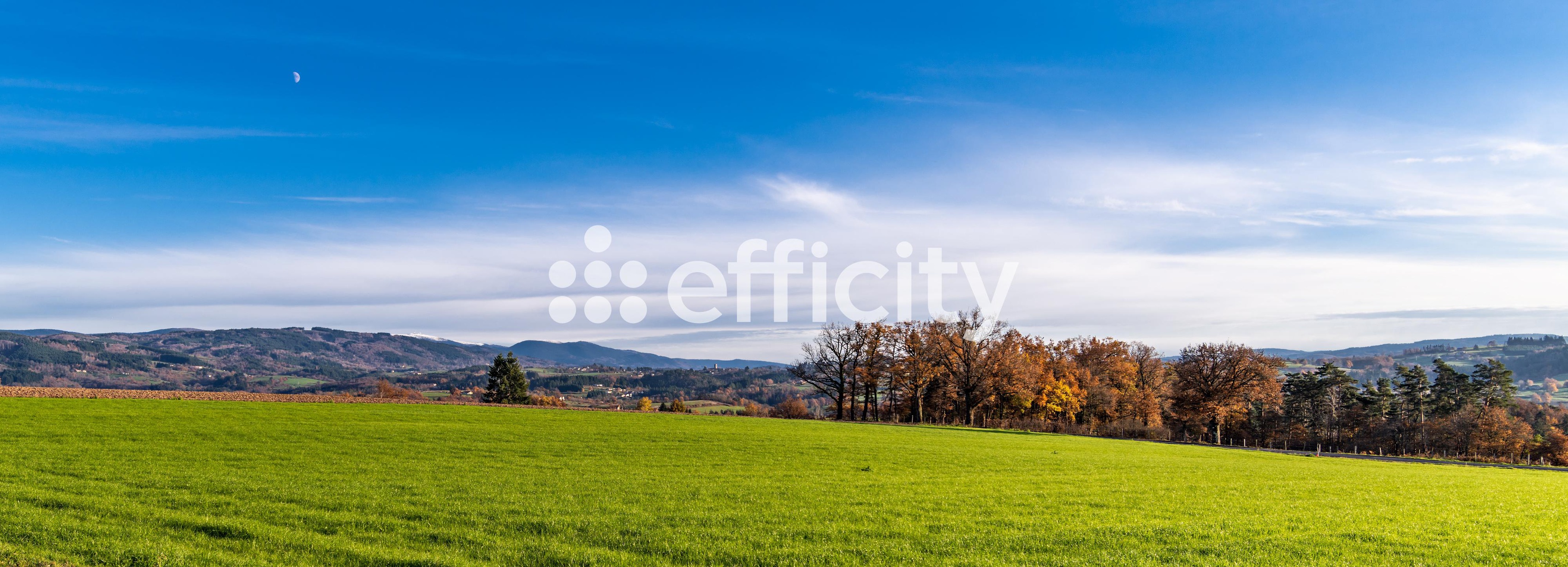 Achat immobilier Local commercial 42 pièces  600m2 à Aubusson-d'Auvergne (63120) - Photo n°16