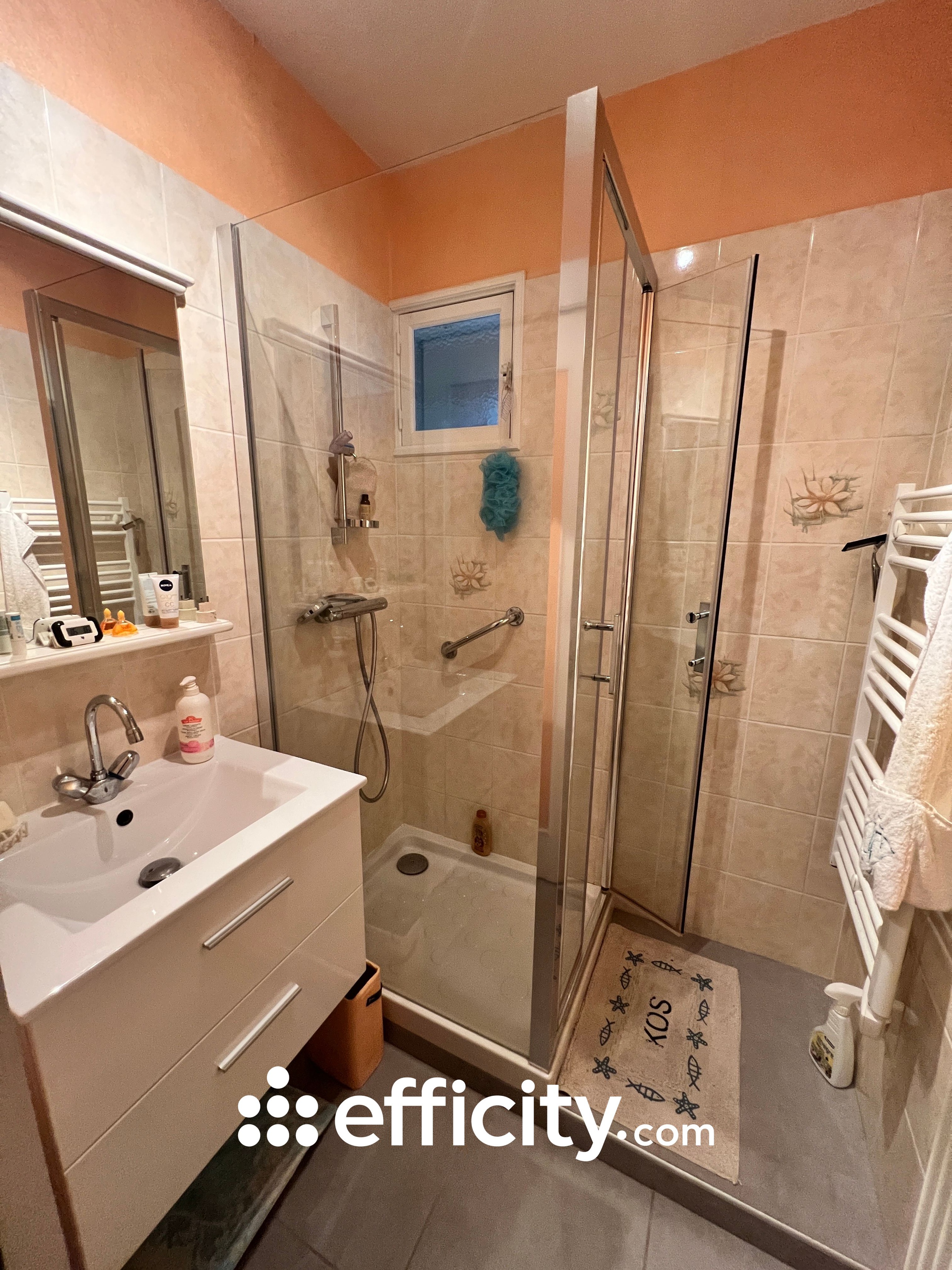 Achat immobilier Appartement 3 pièces  67m2 à Arcis-sur-Aube (10700) - Photo n°7