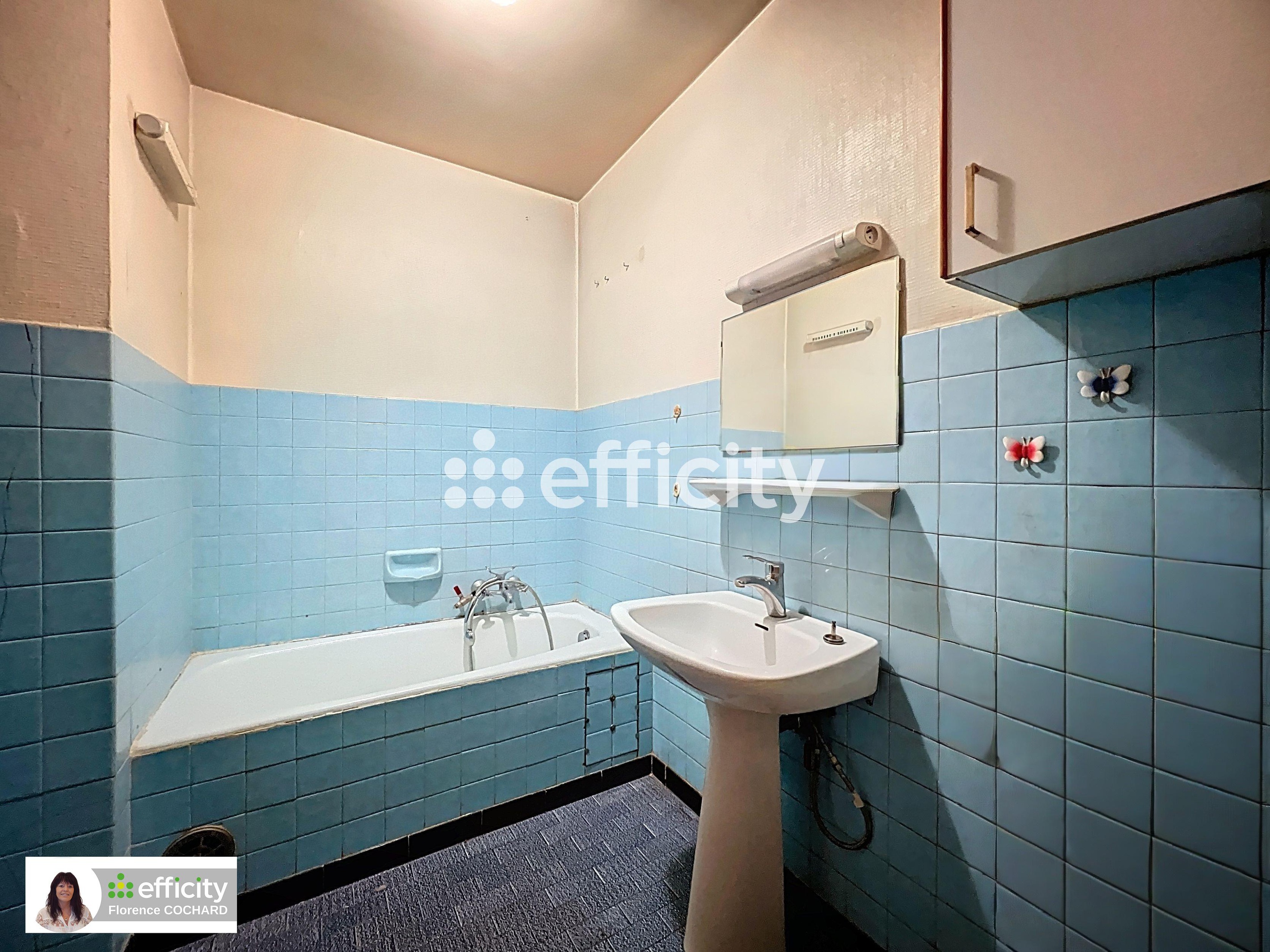 Achat immobilier Maison 6 pièces  150m2 à Boëge (74420) - Photo n°4