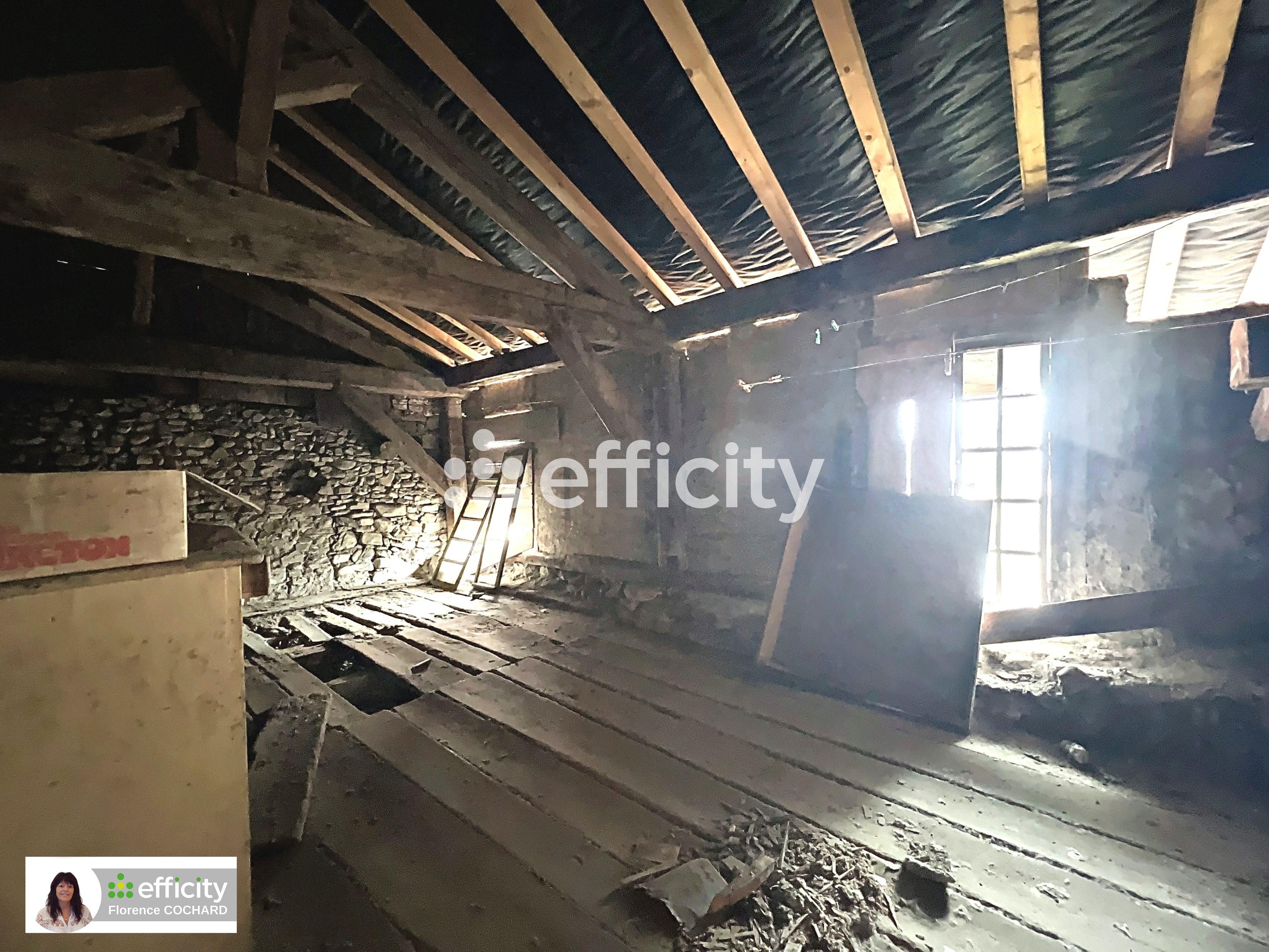 Achat immobilier Maison 6 pièces  150m2 à Boëge (74420) - Photo n°9