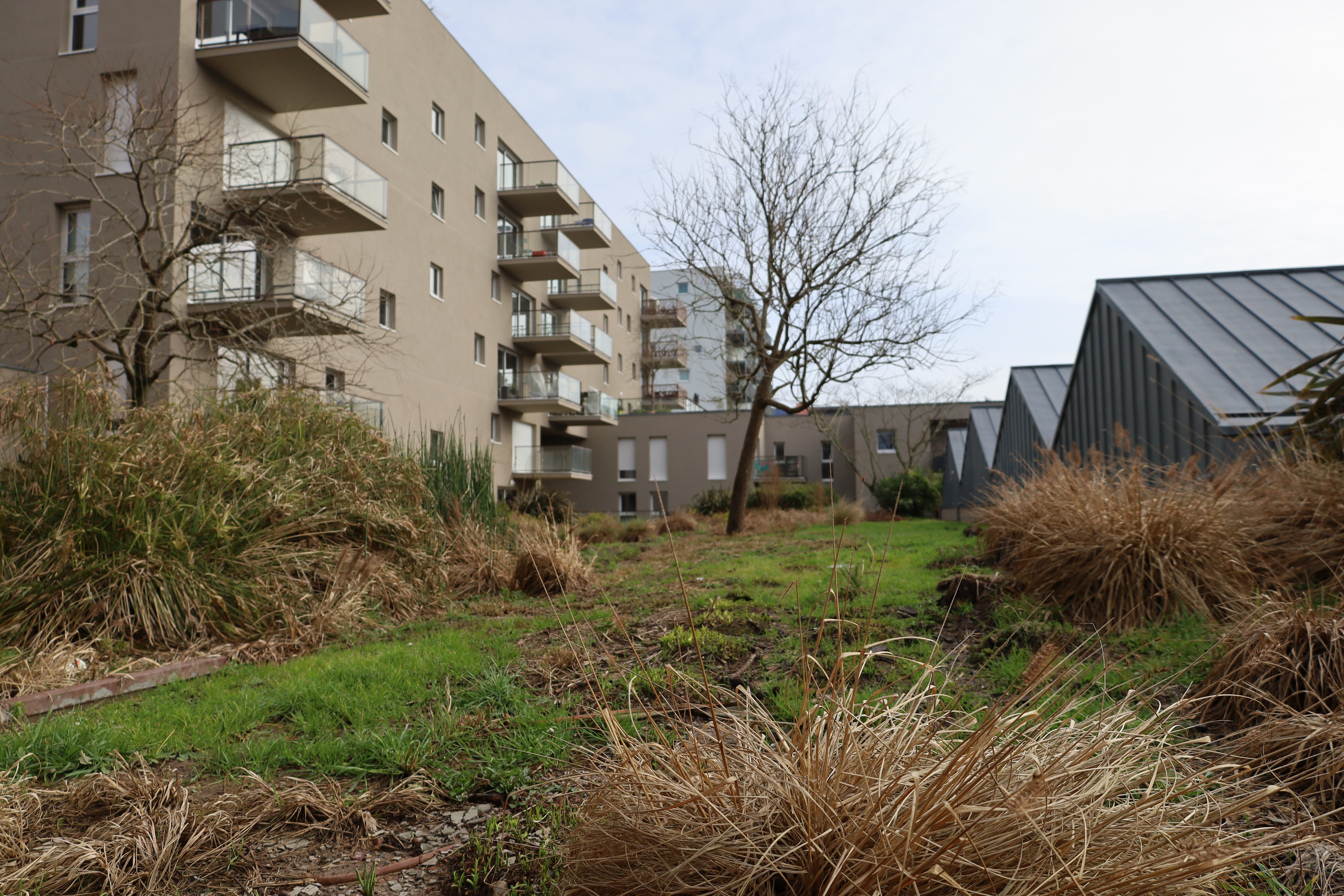 Achat immobilier Appartement 2 pièces  36m2 à Nantes (44200) - Photo n°12