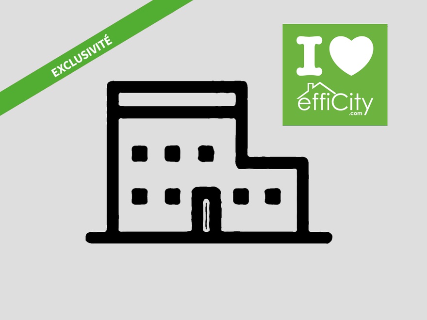 immeuble 9 pièces - 252,0m2 à Coulon (79510)