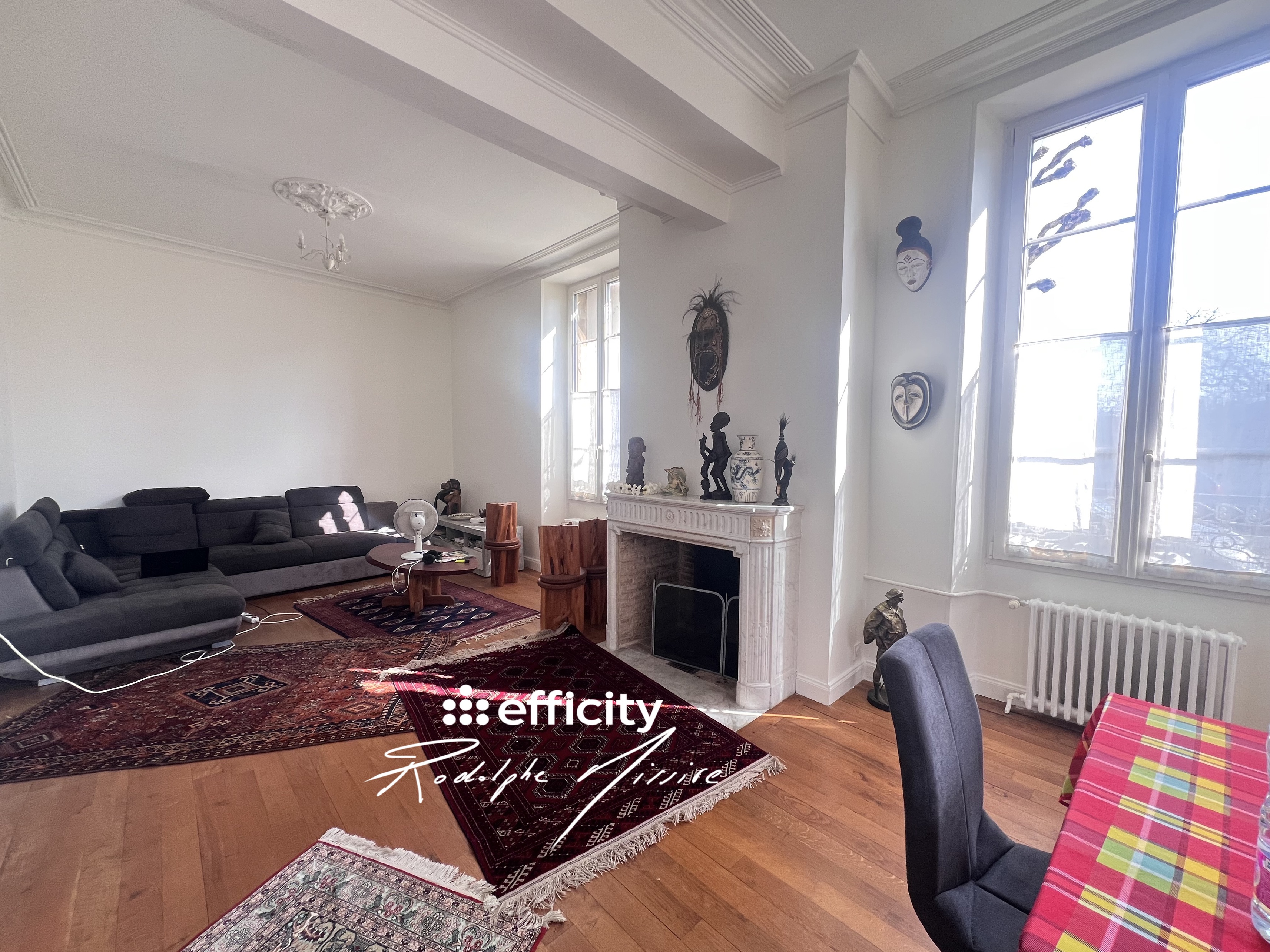 Achat immobilier Maison 8 pièces  240m2 à Niort (79000) - Photo n°6
