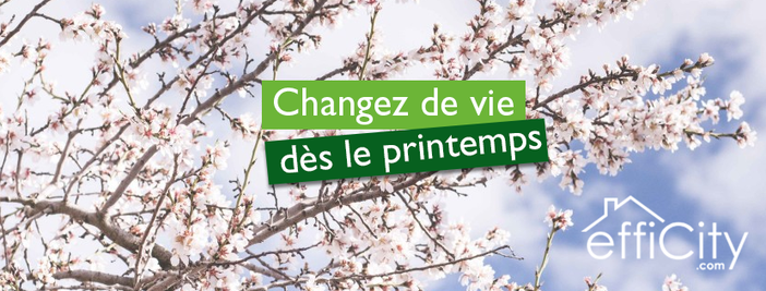 Achat immobilier Appartement 4 pièces  66m2 à Rennes (35700) - Photo n°7