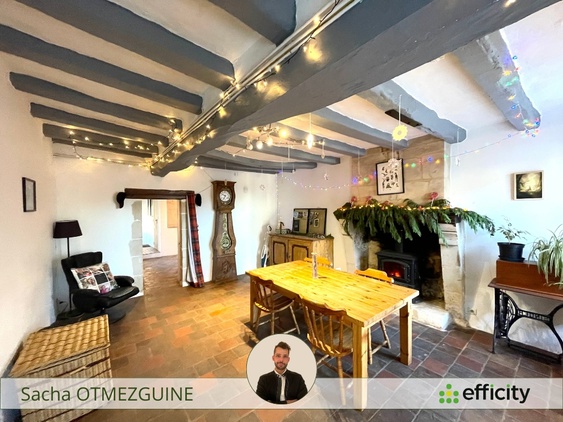 maison 7 pièces - 240,0m2 à Martizay (36220)