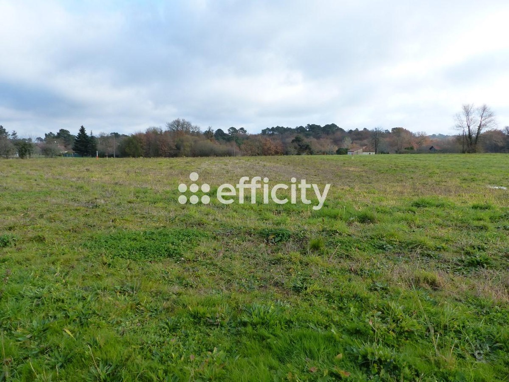 Achat immobilier Terrain   2542m2 à Saint-Géry (24420) - Photo n°1