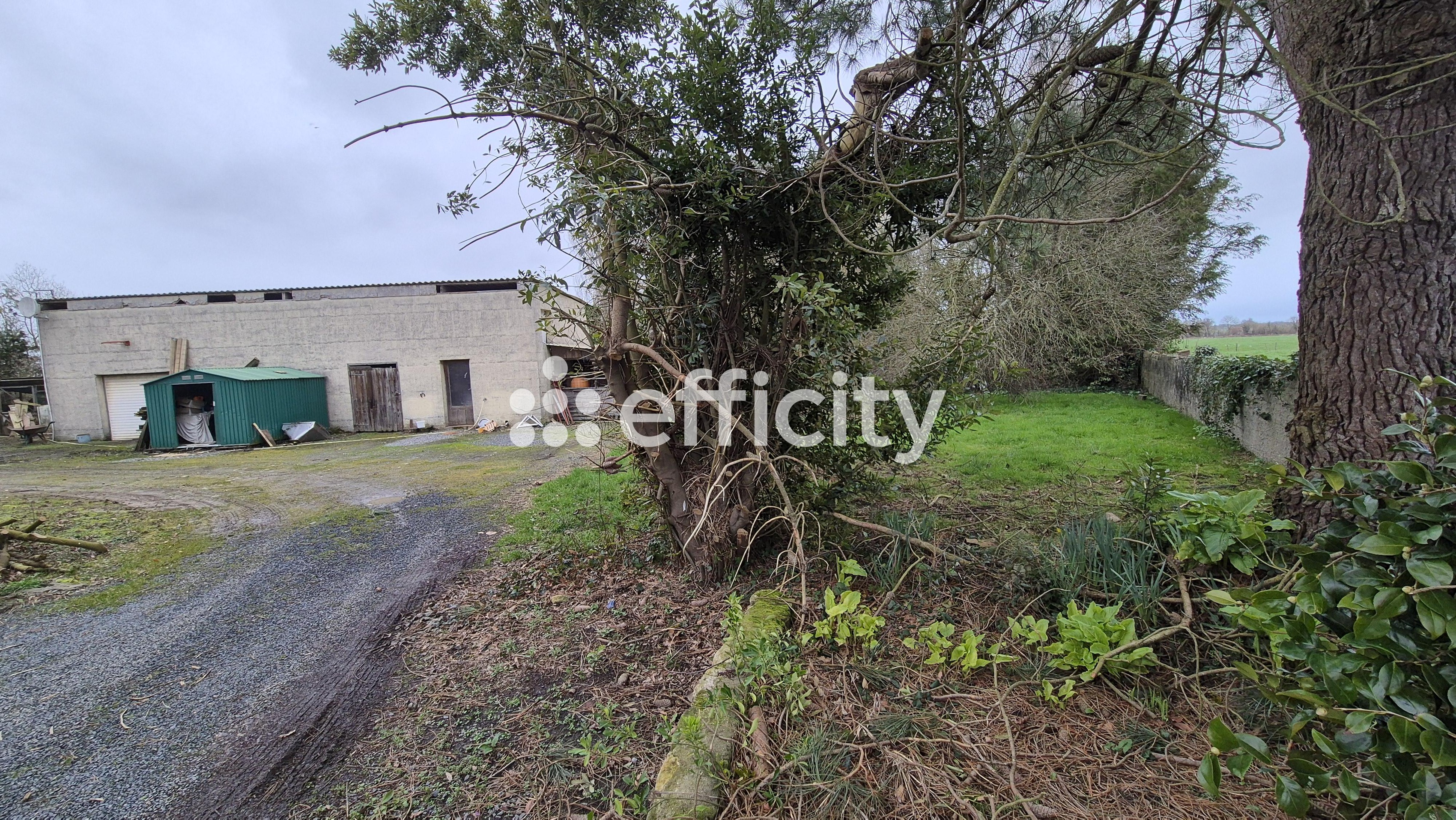 Achat immobilier Maison 10 pièces  207m2 à Mandeville-en-Bessin (14710) - Photo n°7