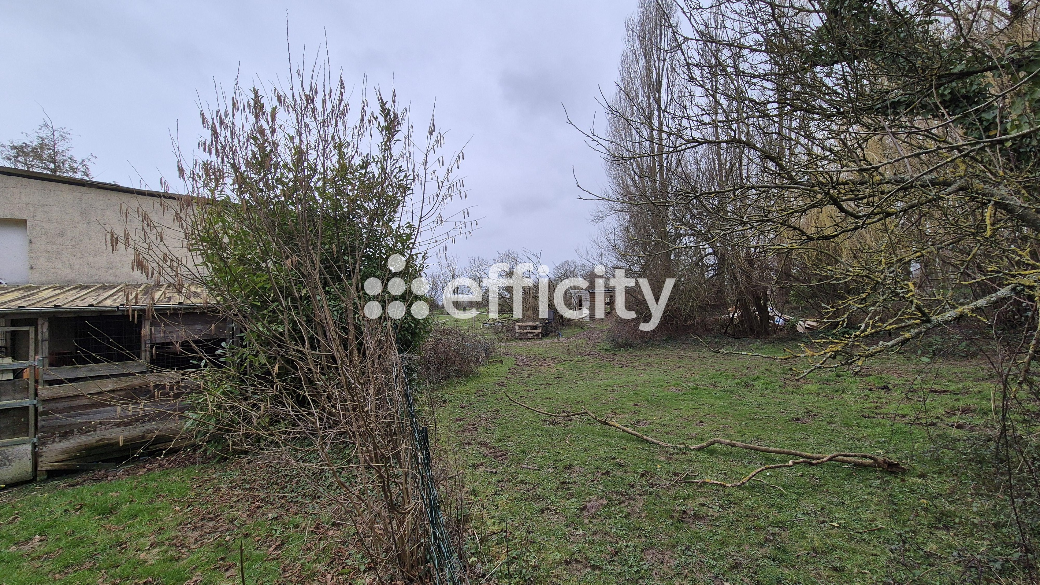Achat immobilier Maison 10 pièces  207m2 à Mandeville-en-Bessin (14710) - Photo n°17
