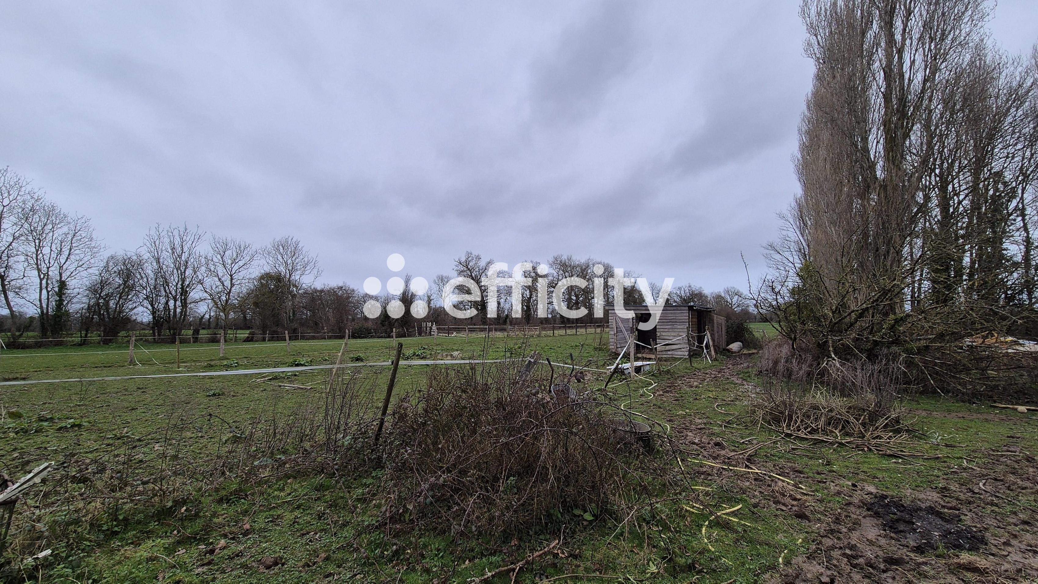 Achat immobilier Maison 10 pièces  207m2 à Mandeville-en-Bessin (14710) - Photo n°18