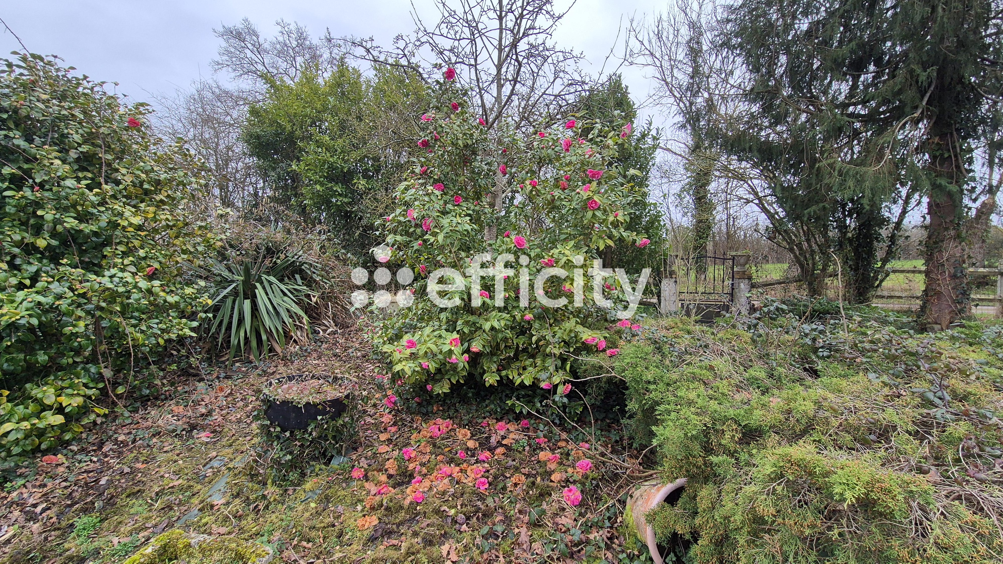 Achat immobilier Maison 10 pièces  207m2 à Mandeville-en-Bessin (14710) - Photo n°6