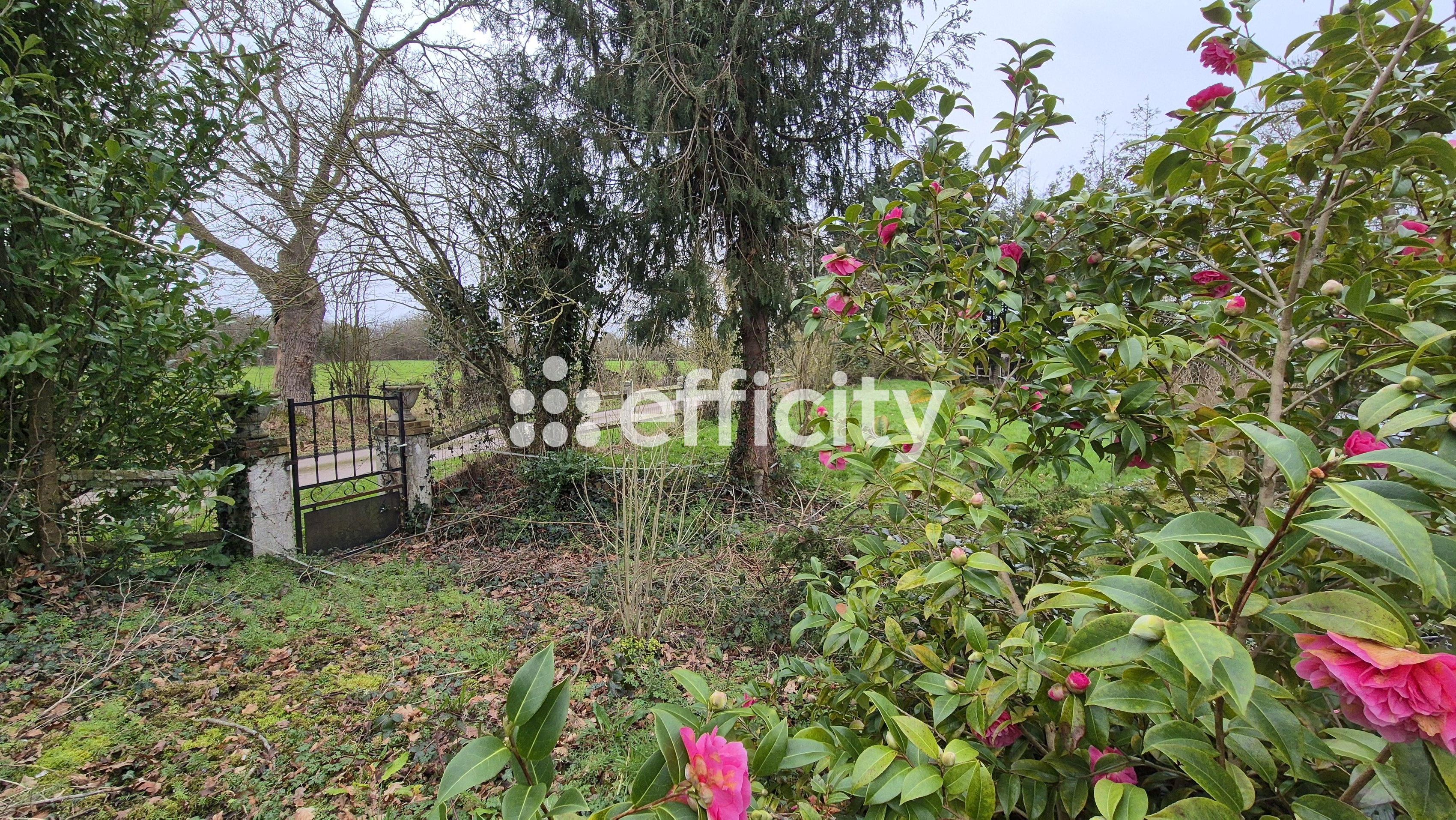 Achat immobilier Maison 10 pièces  207m2 à Mandeville-en-Bessin (14710) - Photo n°11
