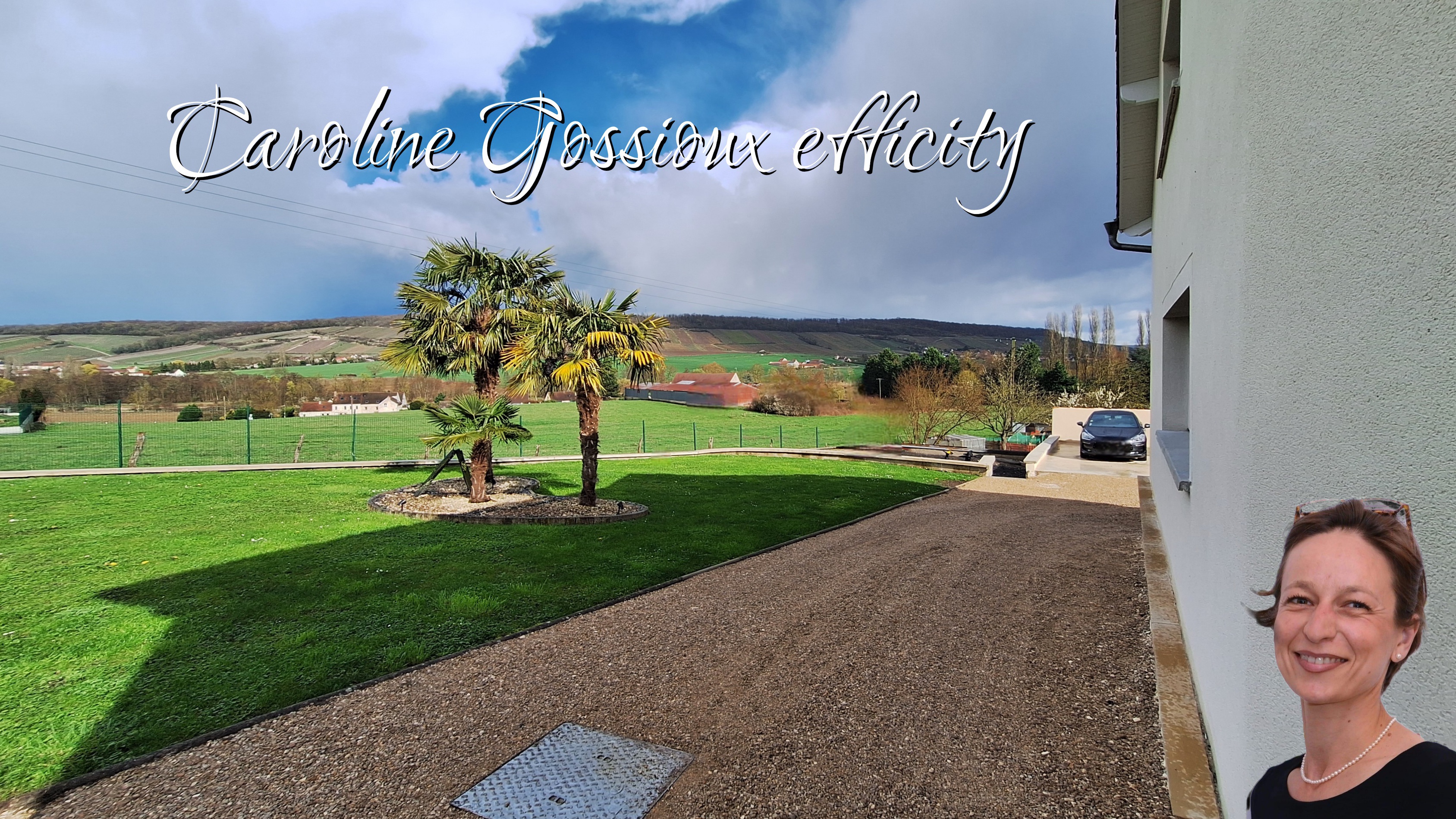 Achat immobilier Maison 10 pièces  280m2 à Château-Thierry (02400) - Photo n°25