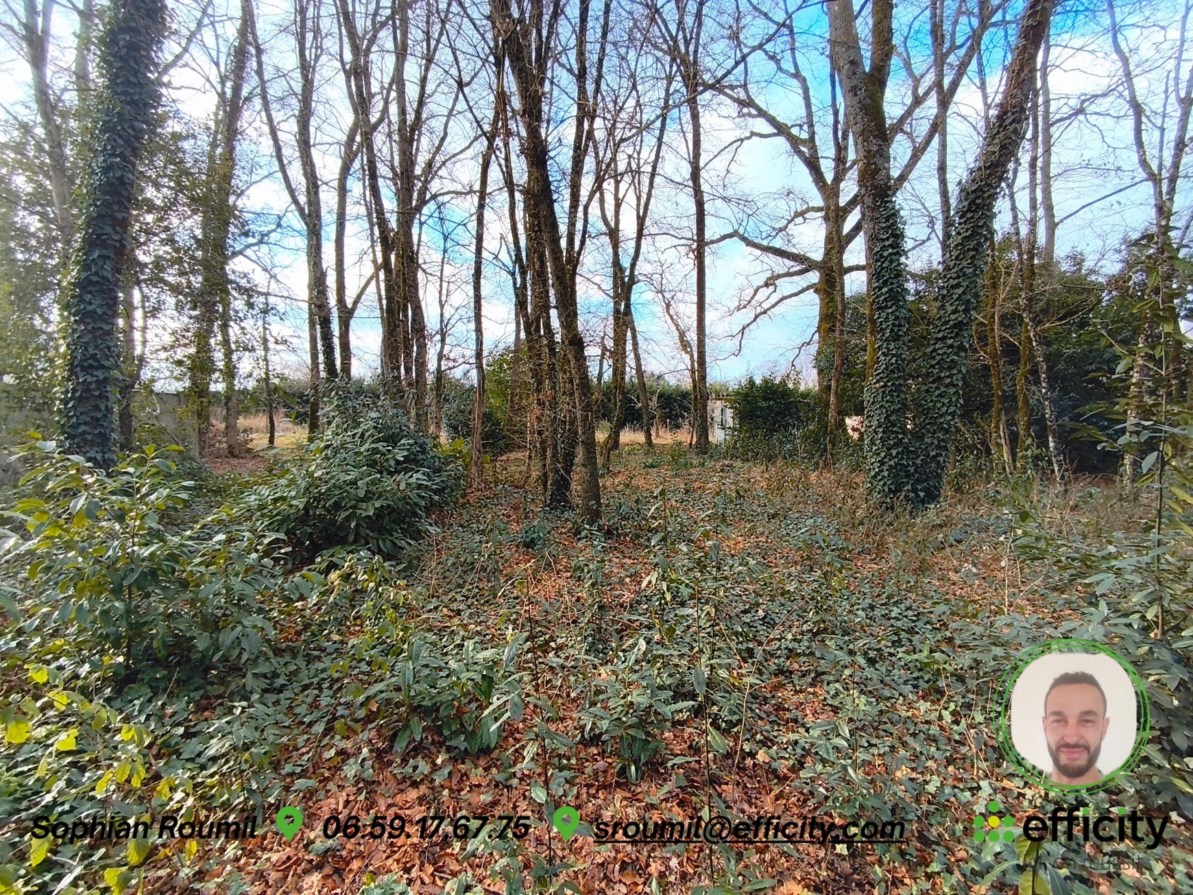 Achat immobilier Terrain   2003m2 à Puymoyen (16400) - Photo n°4