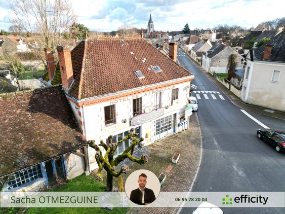 maison 15 pièces - 270m2 à Mézières-en-Brenne (36290)