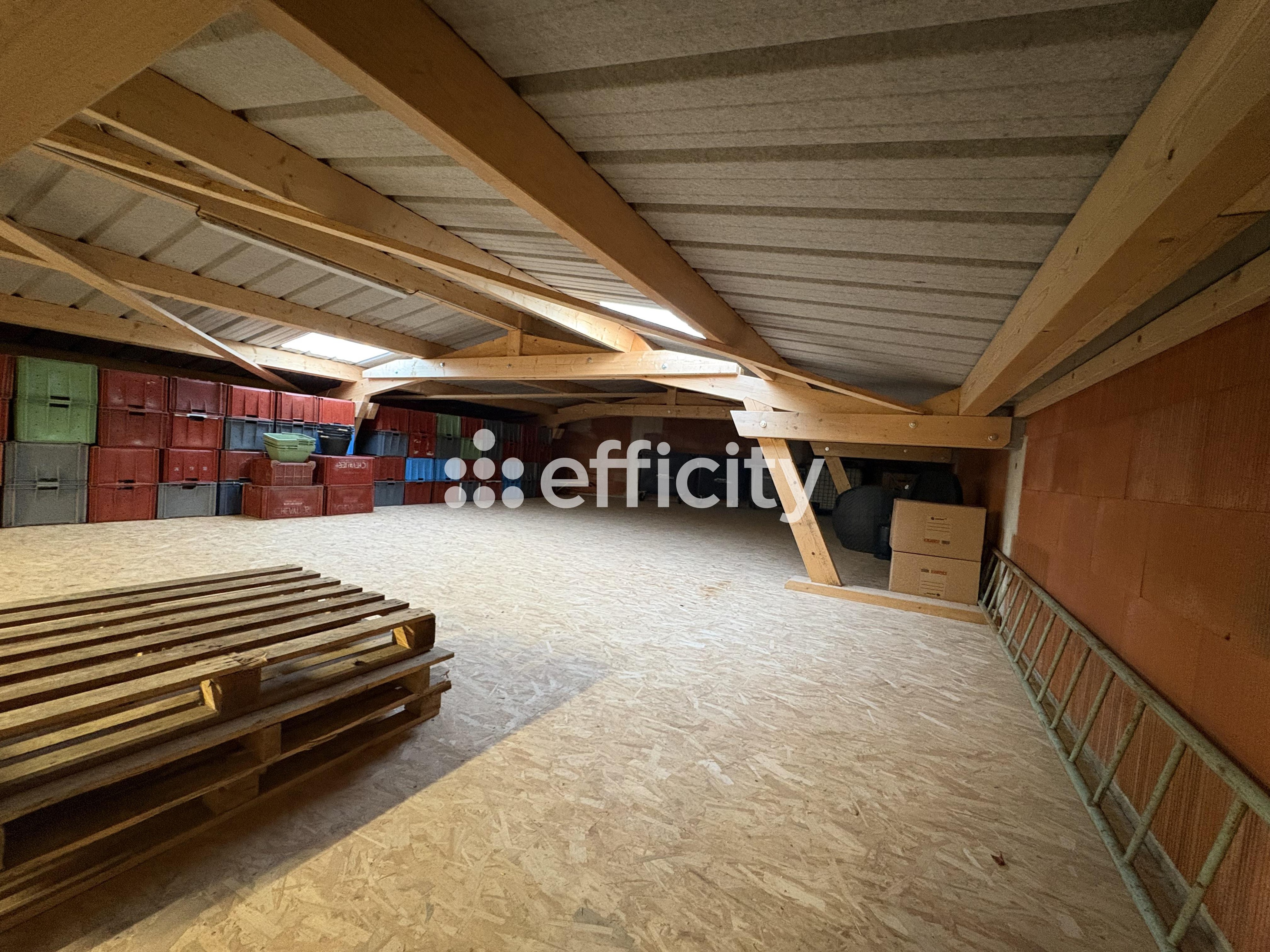Achat immobilier Immeuble   270m2 à Cœur-de-la-Vallée (51700) - Photo n°4