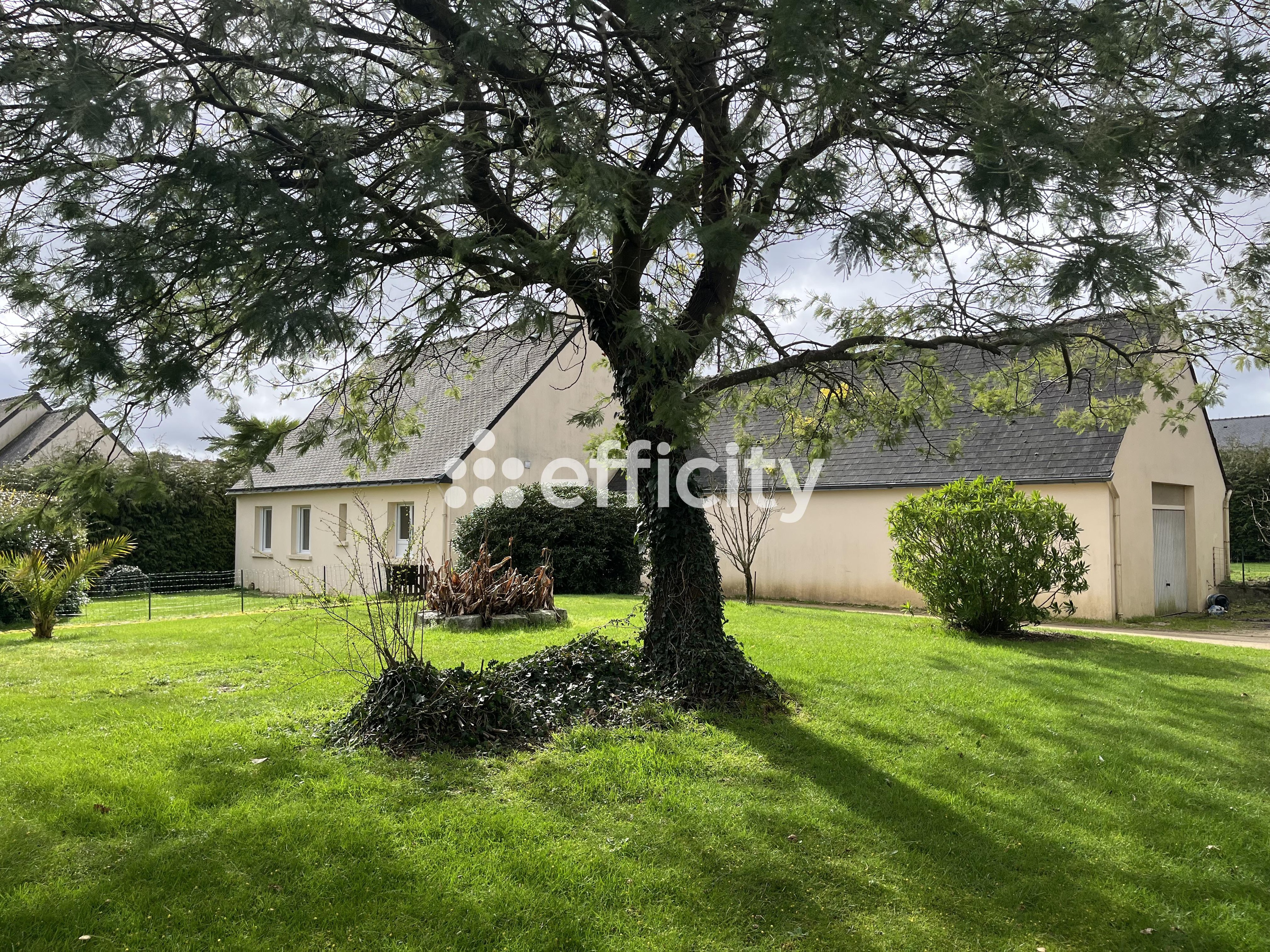 Achat immobilier Maison 5 pièces  136m2 à Plouay (56240) - Photo n°1