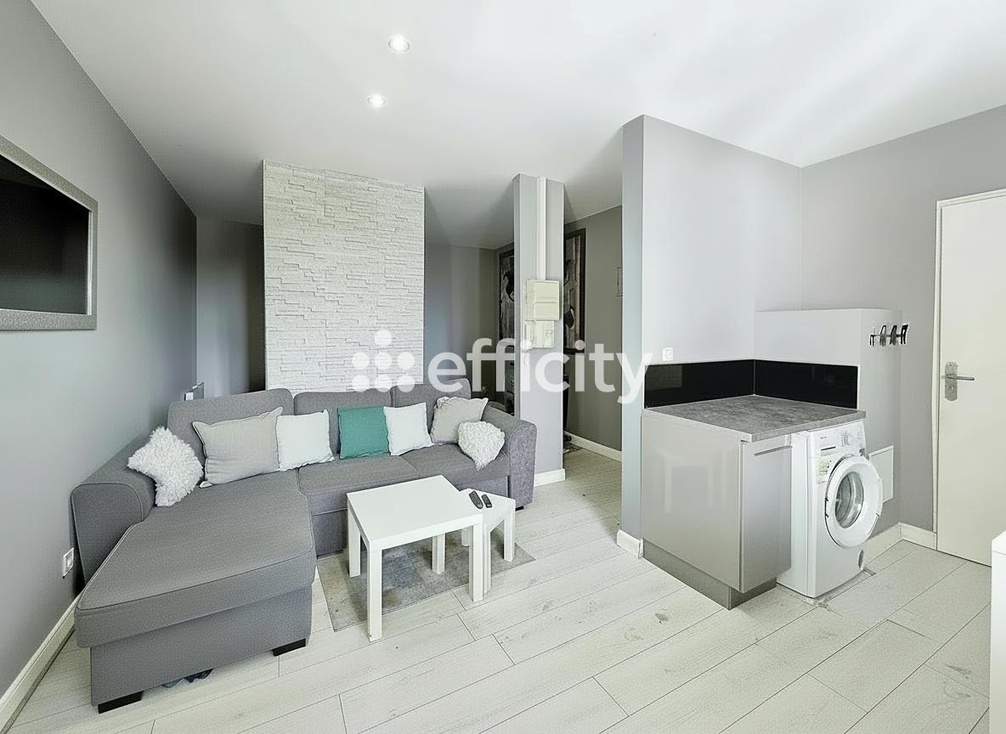 Achat immobilier Appartement 2 pièces  30m2 à Nazelles-Négron (37530) - Photo n°1