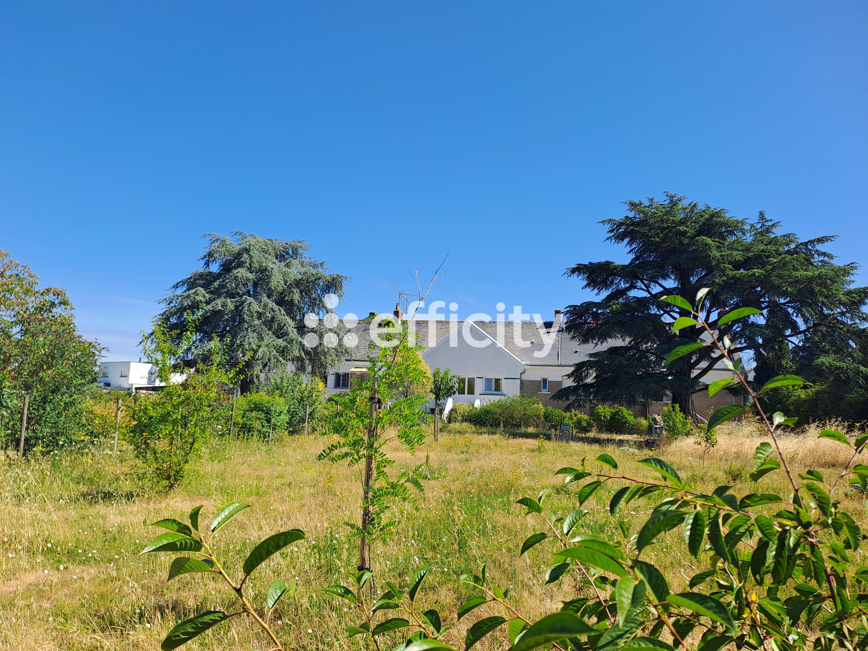 Photo illustration