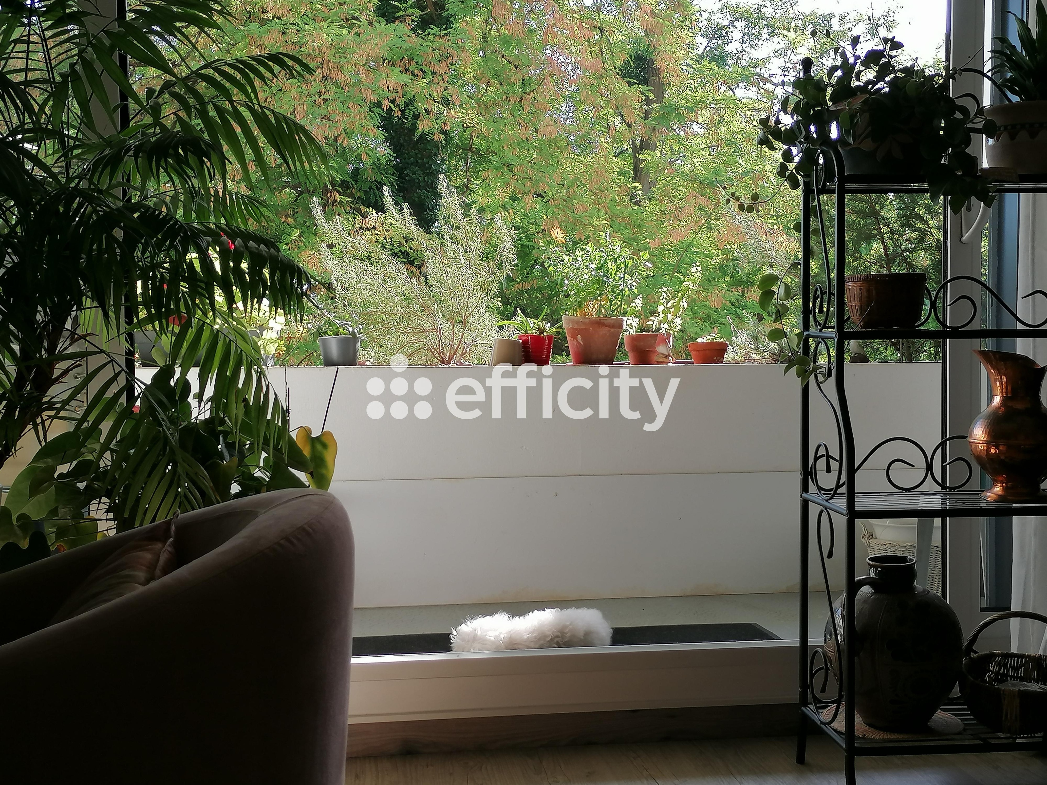 Achat immobilier Appartement 5 pièces  100m2 à La Chaussée-Saint-Victor (41260) - Photo n°17