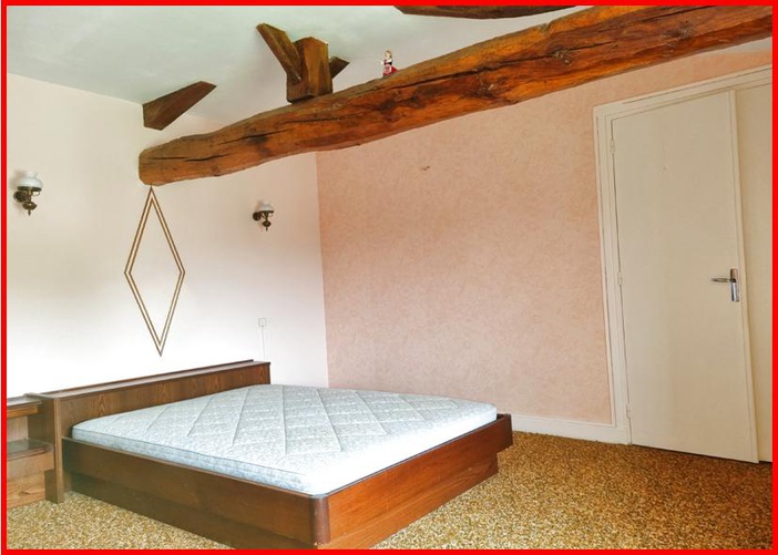 Achat immobilier Maison 9 pièces  230m2 à Neulise (42590) - Photo n°13