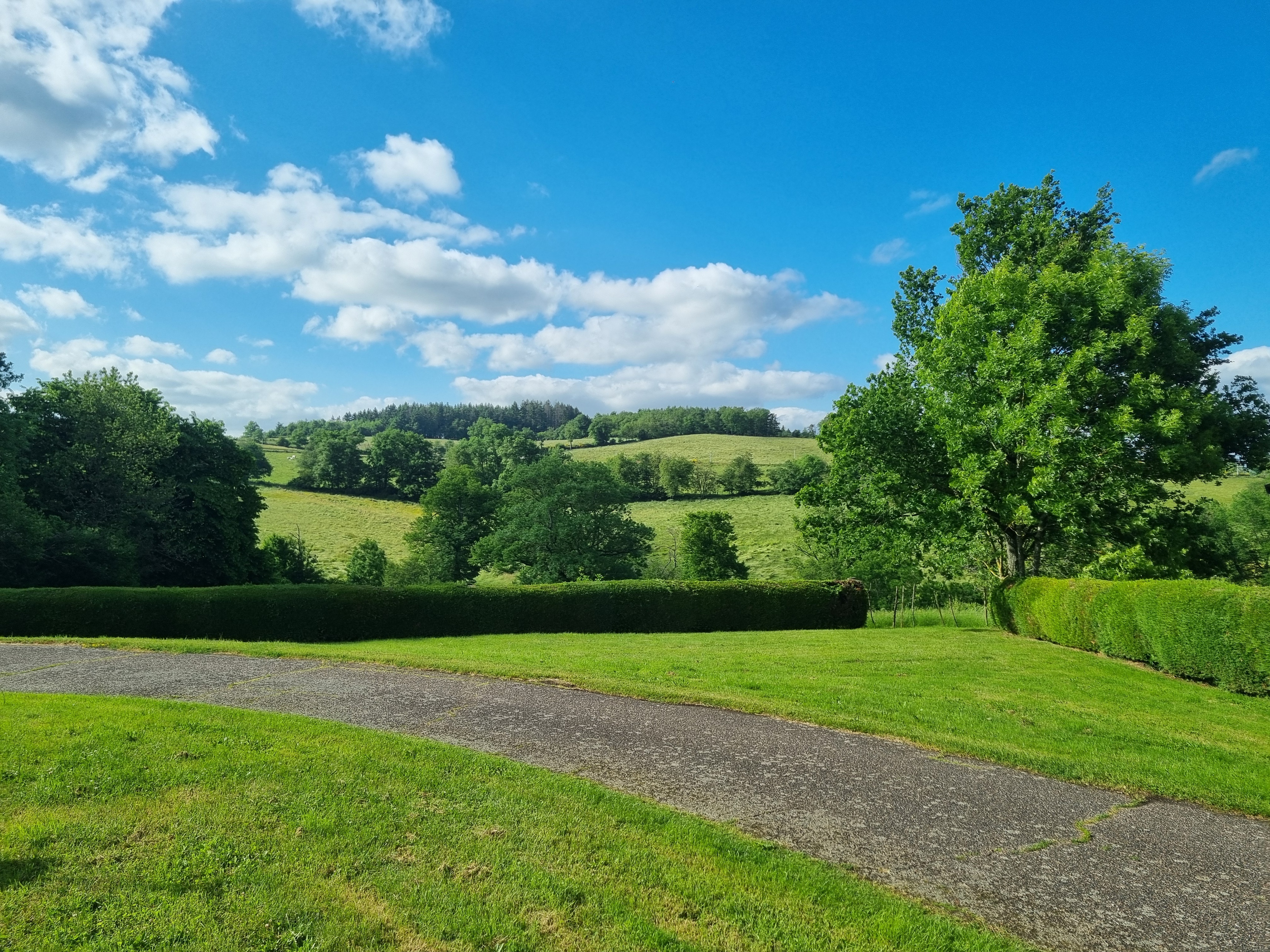 Achat immobilier Maison 9 pièces  230m2 à Neulise (42590) - Photo n°18