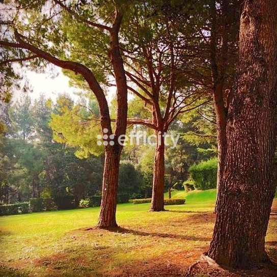 Achat immobilier Appartement 3 pièces  92m2 à Marseille (13008) - Photo n°25