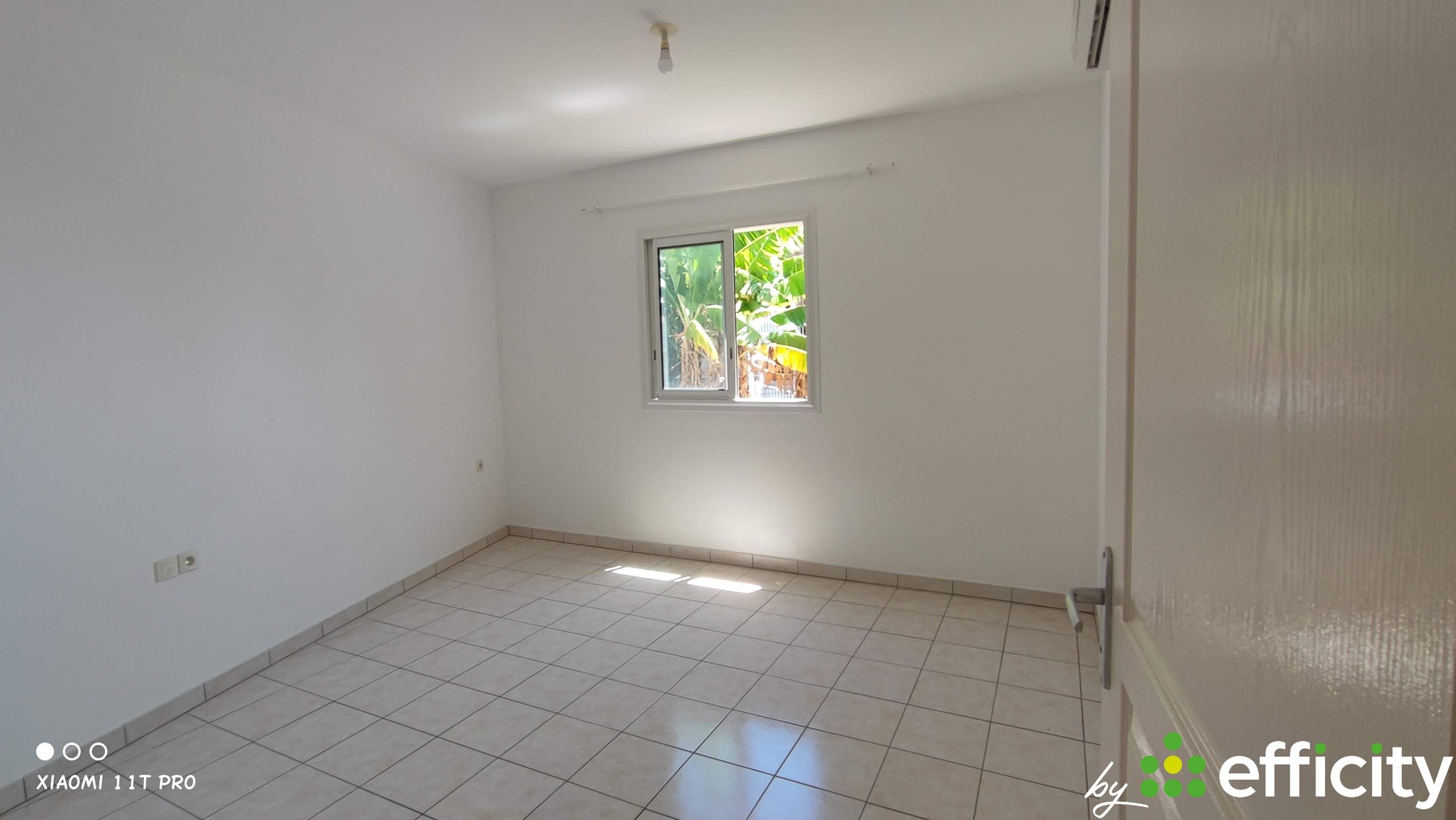 appartement 2 pièces - 51m2 à Saint-Pierre (97410)