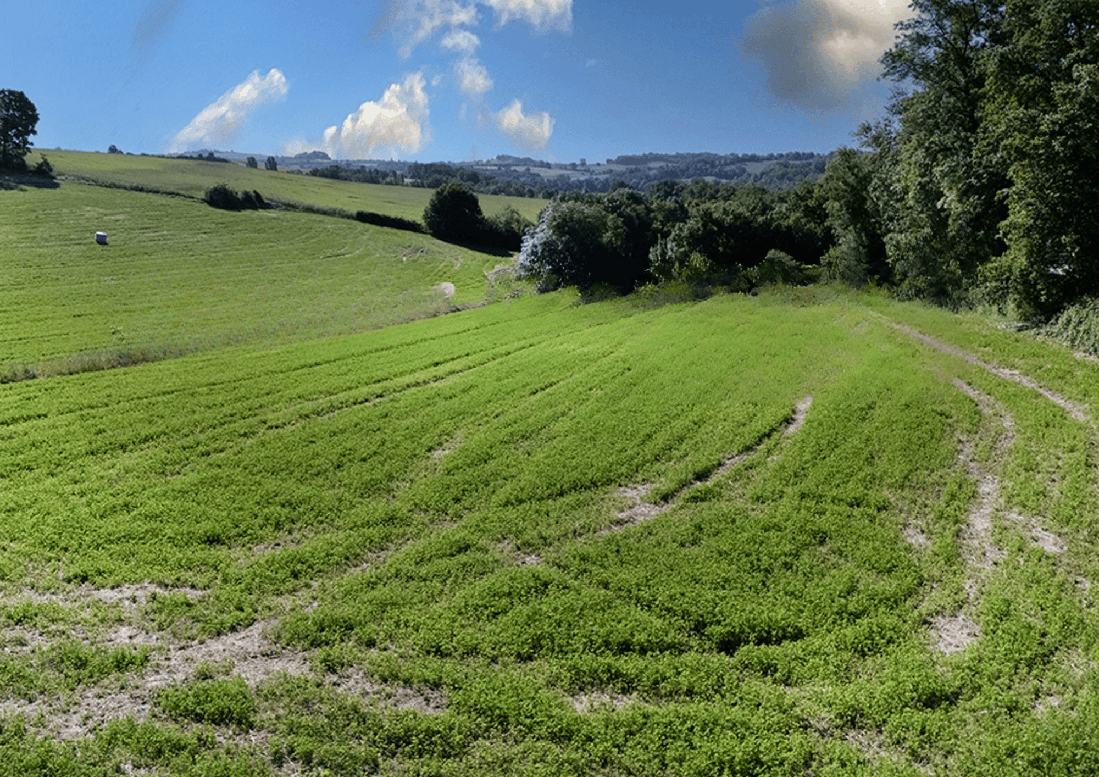 terrain  - 1294m2 à Mailhoc (81130)