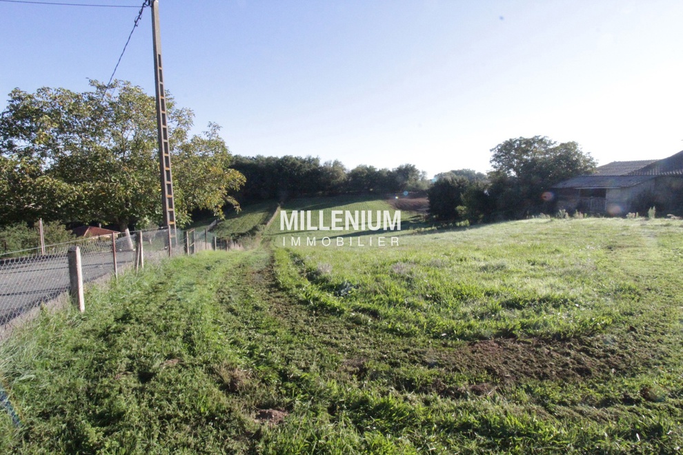 terrain  - 1018,0m2 à Graulhet (81300)