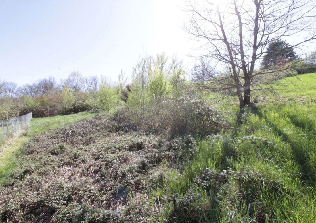 terrain  - 1613,0m2 à Graulhet (81300)