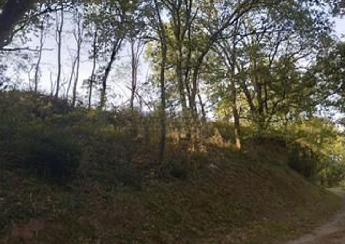 terrain  - 4639,0m2 à Castres (81100)