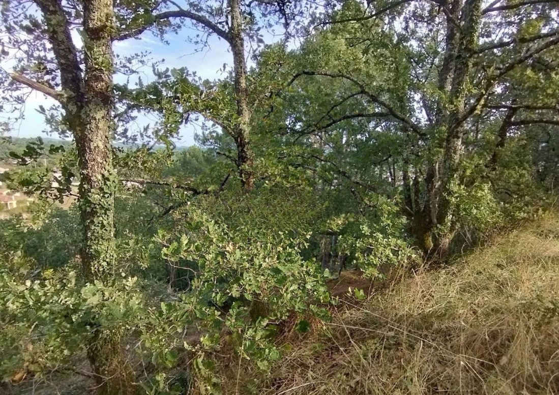 terrain  - 4087,0m2 à Castres (81100)