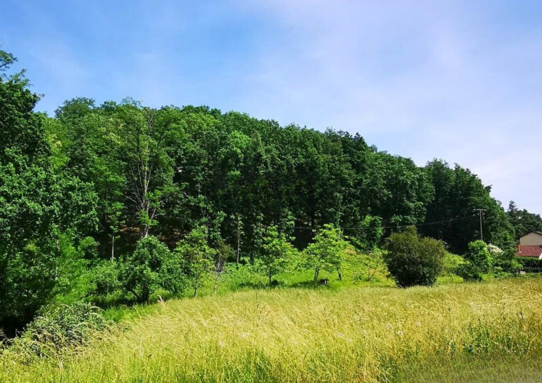 terrain  - 2028,0m2 à Graulhet (81300)