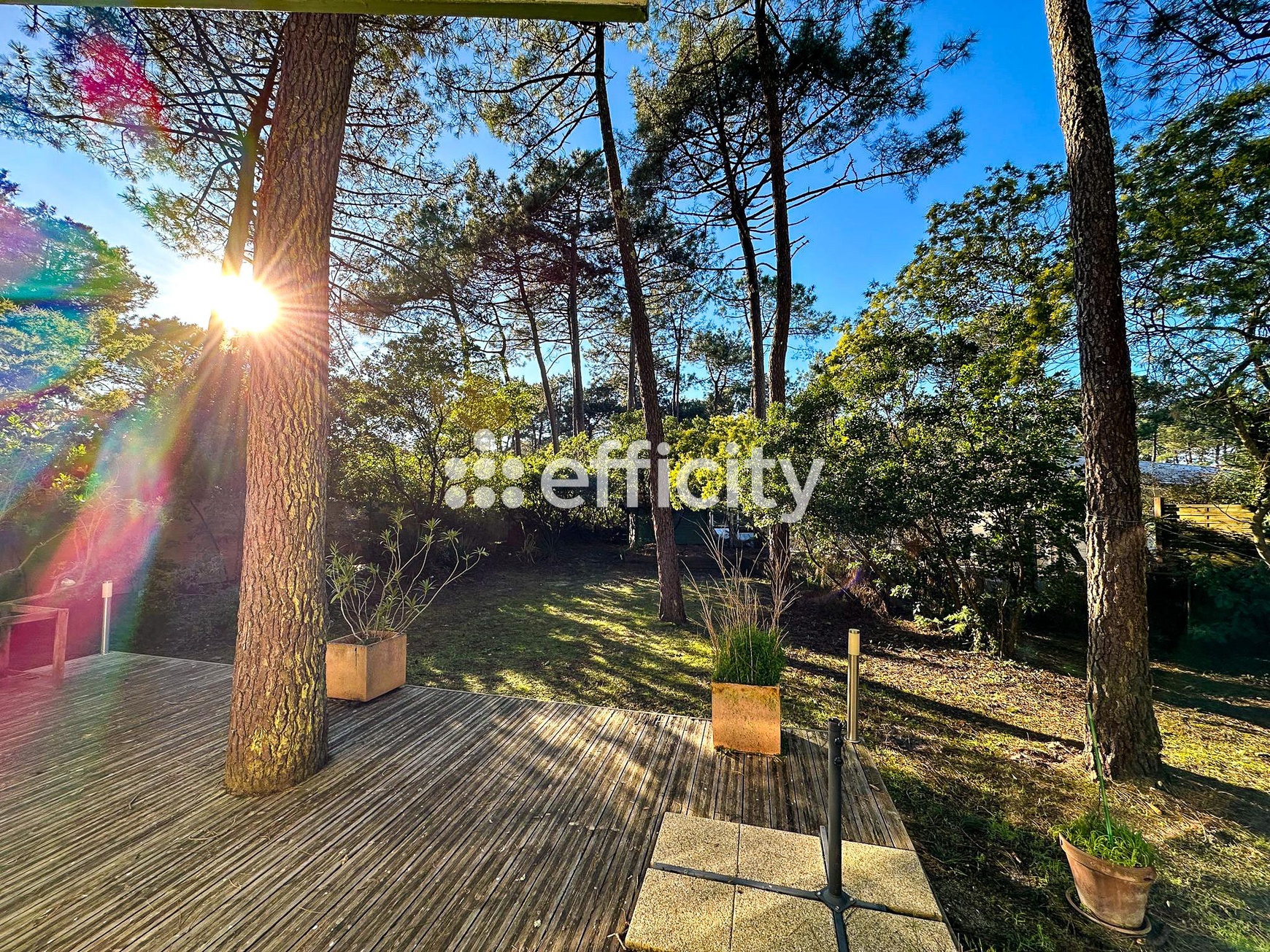 Achat immobilier Maison 5 pièces  140m2 à Lacanau (33680) - Photo n°4