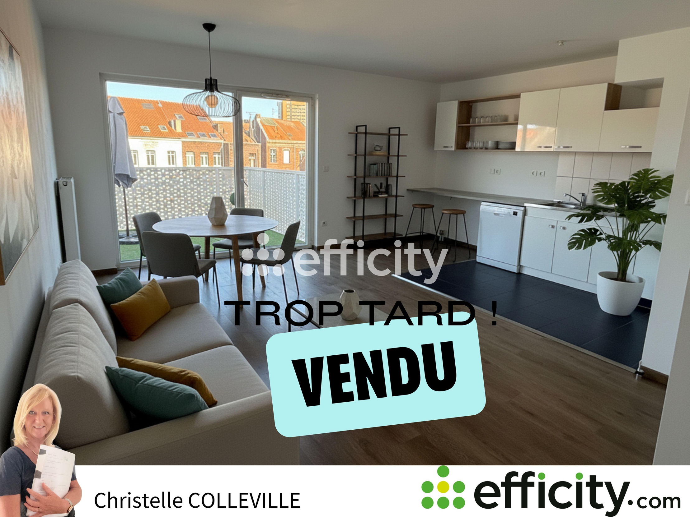 appartement 3 pièces - 61m2 à Roubaix (59100)