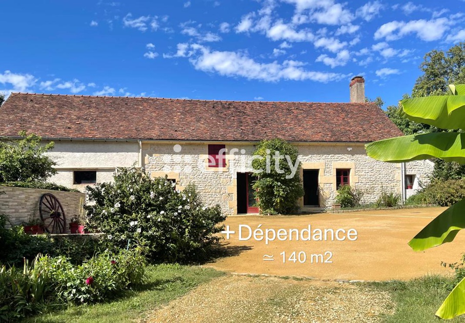 Achat immobilier Maison 10 pièces  400m2 à Varennes-Vauzelles (58640) - Photo n°7