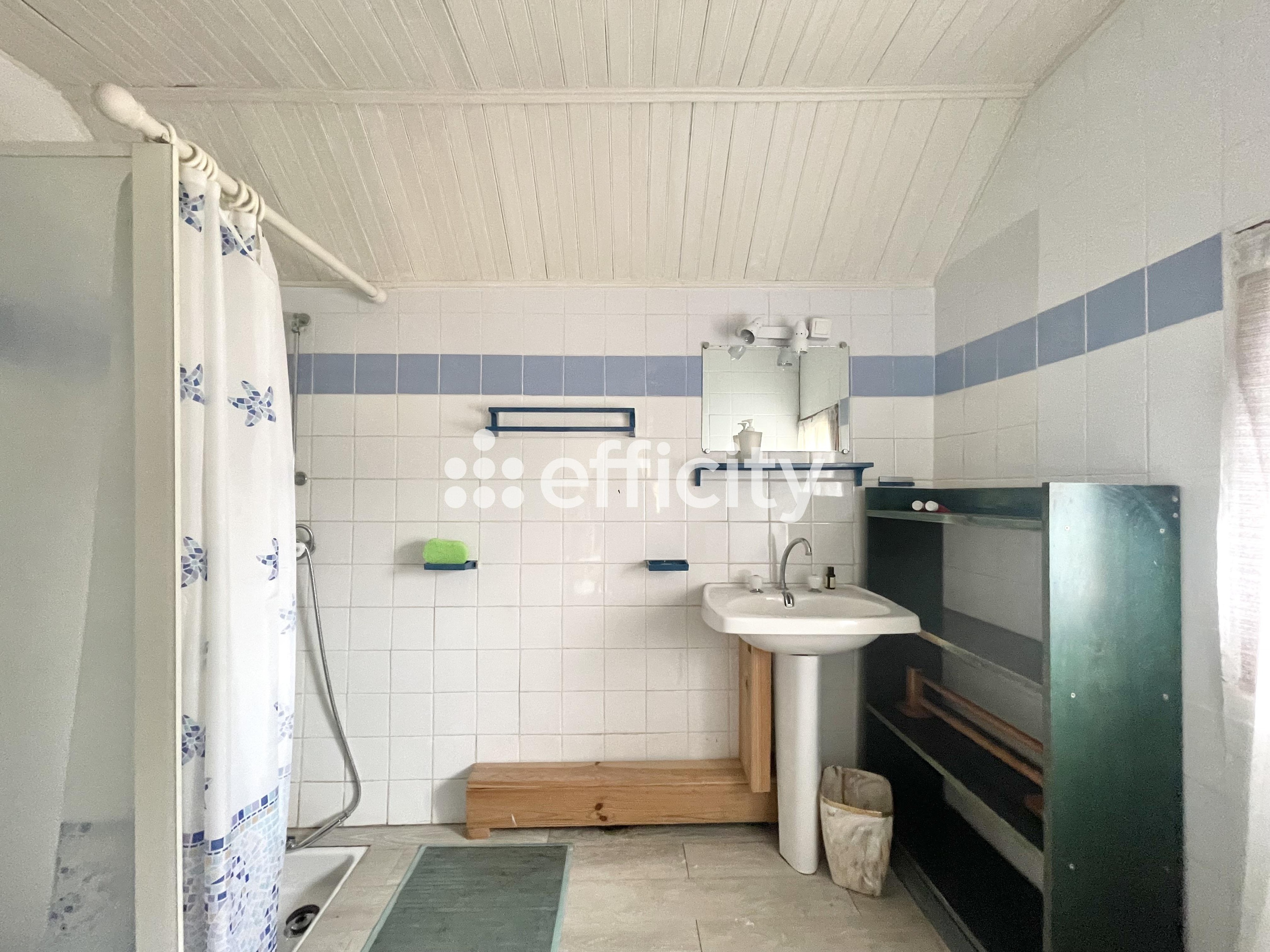 Achat immobilier Maison 10 pièces  400m2 à Varennes-Vauzelles (58640) - Photo n°37