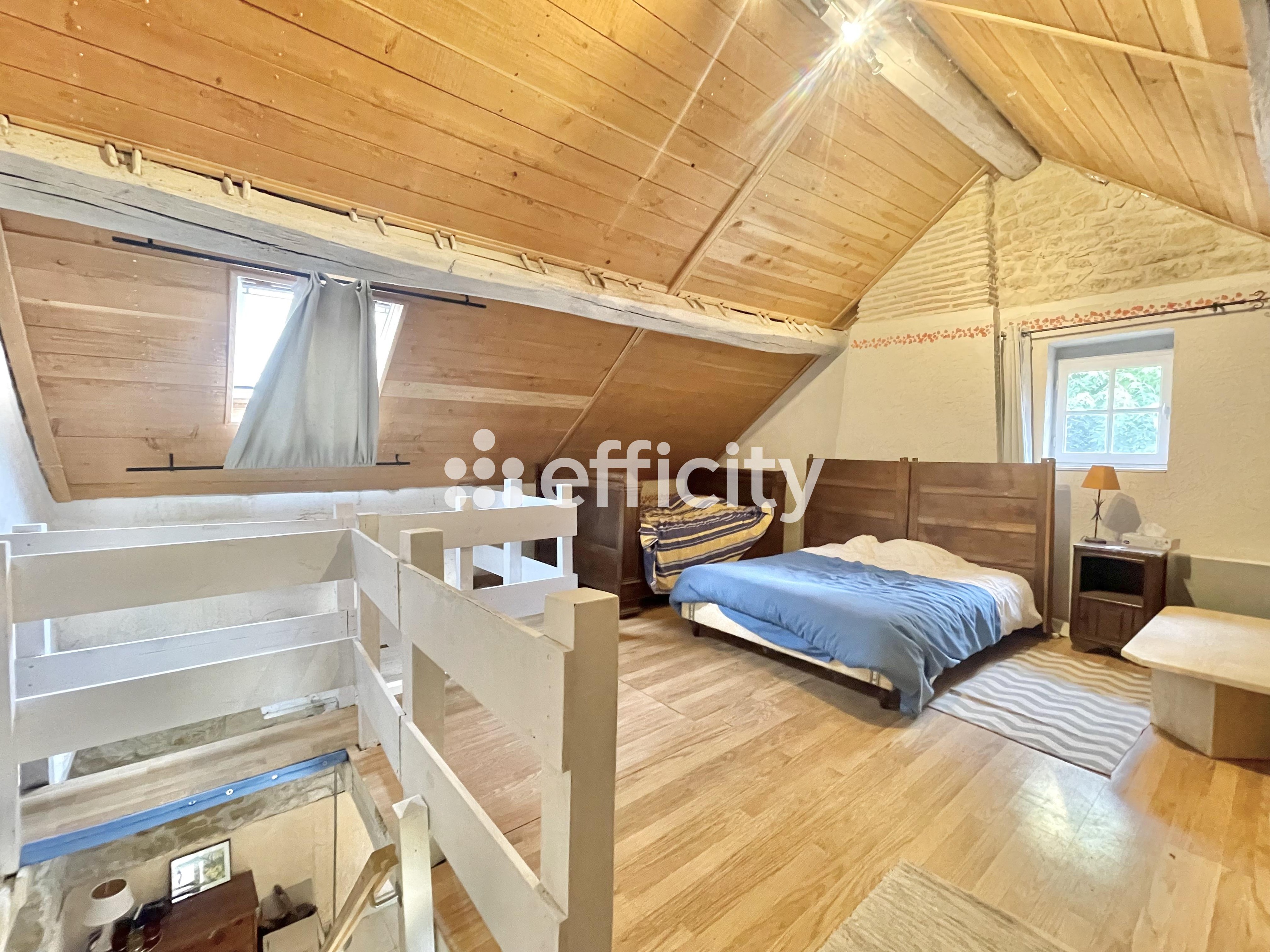 Achat immobilier Maison 10 pièces  400m2 à Varennes-Vauzelles (58640) - Photo n°39