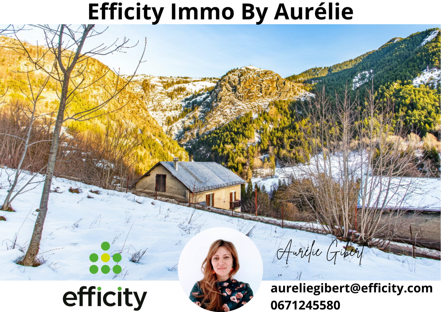 Achat immobilier Terrain   2900m2 à Le Bourg-d'Oisans (38520) - Photo n°4