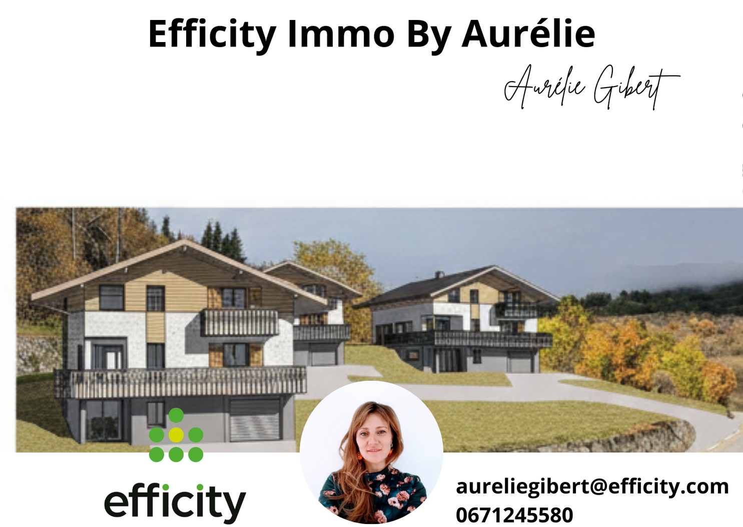 Achat immobilier Terrain   2900m2 à Le Bourg-d'Oisans (38520) - Photo n°5